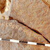 inscription of siglum CEDS 430