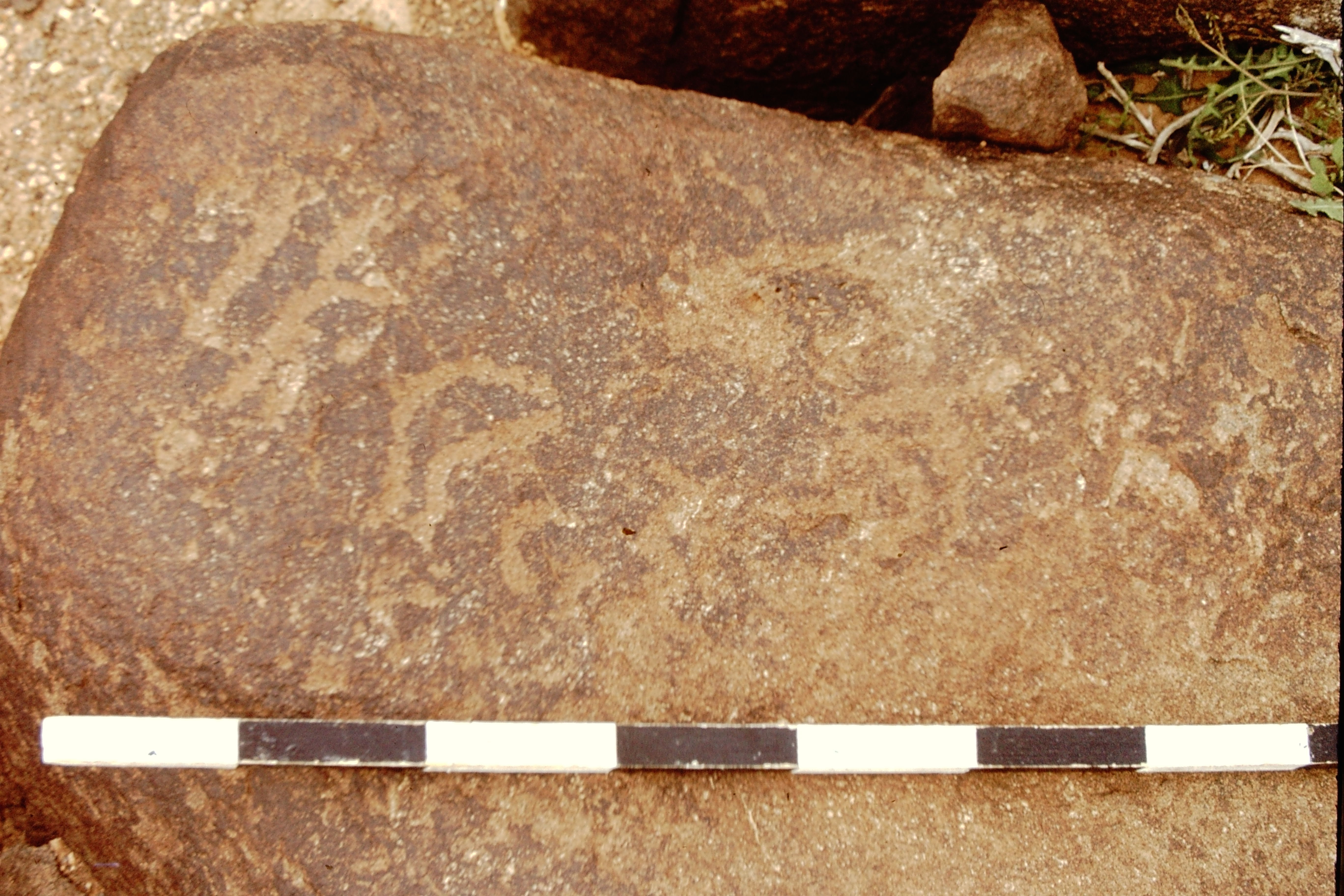 inscription of siglum CEDS 440