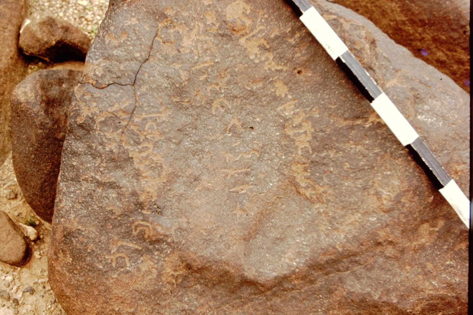 inscription of siglum CEDS 442