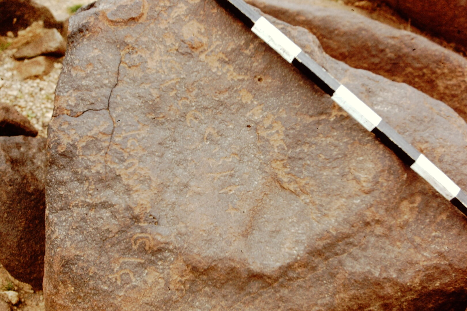 inscription of siglum CEDS 442