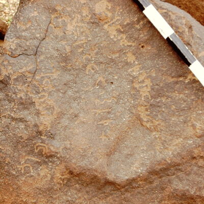 inscription of siglum CEDS 443