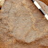 inscription of siglum CEDS 443