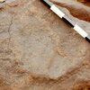inscription of siglum CEDS 443