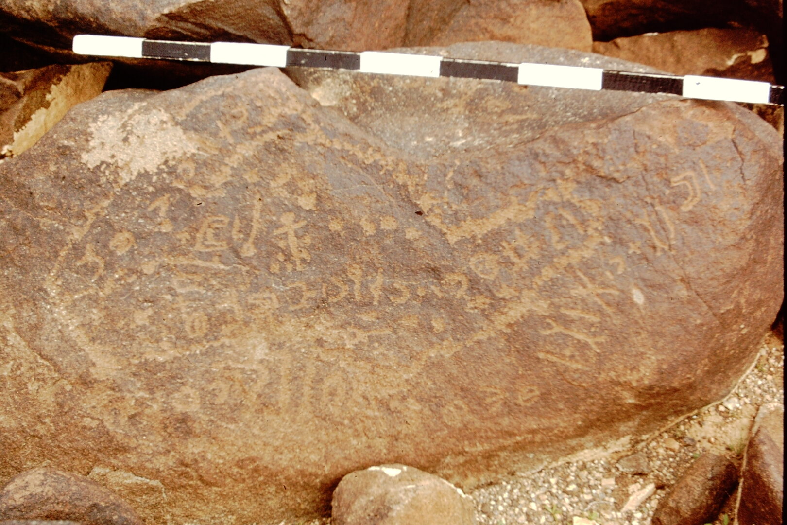 inscription of siglum CEDS 445