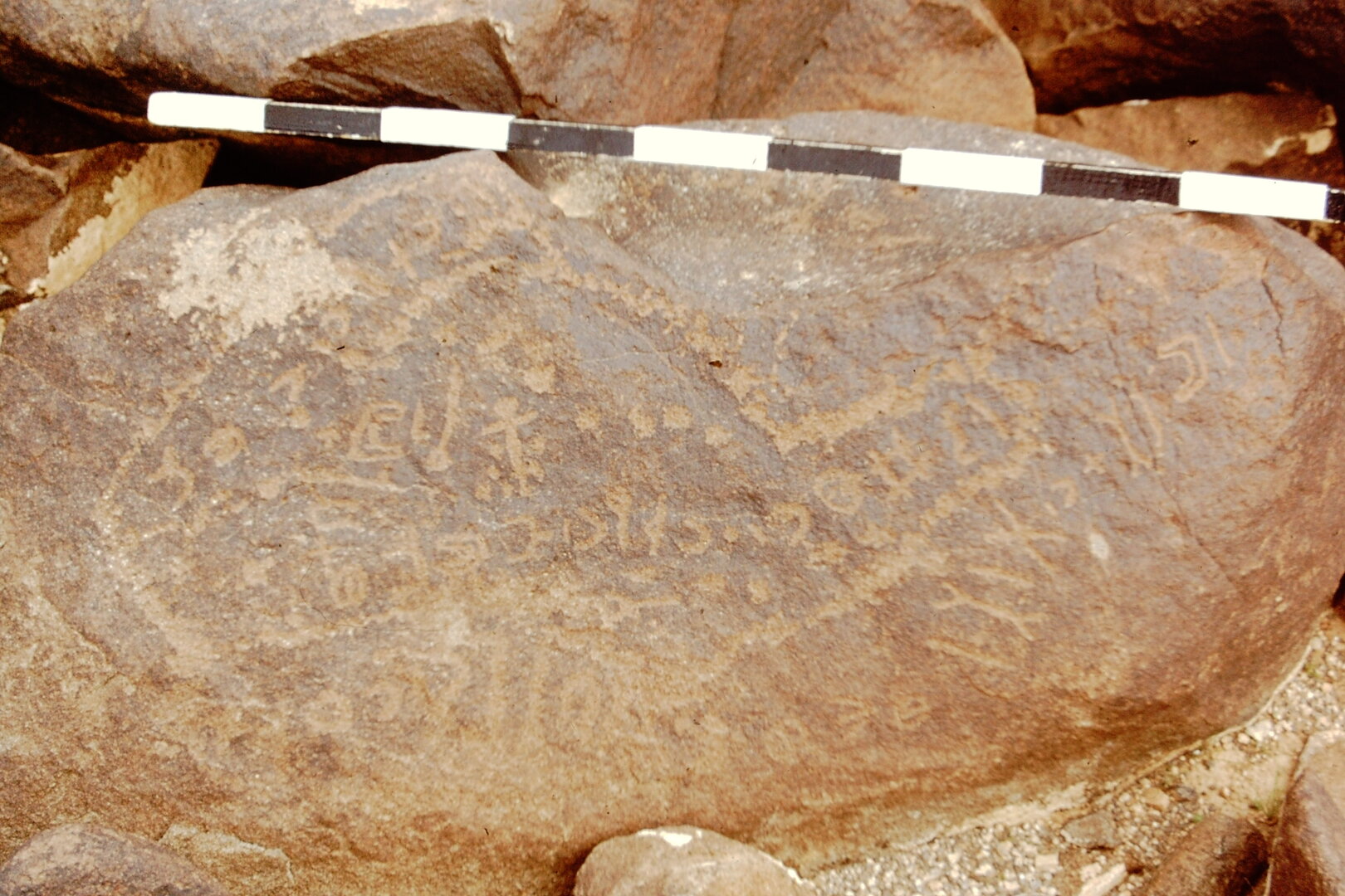 inscription of siglum CEDS 446