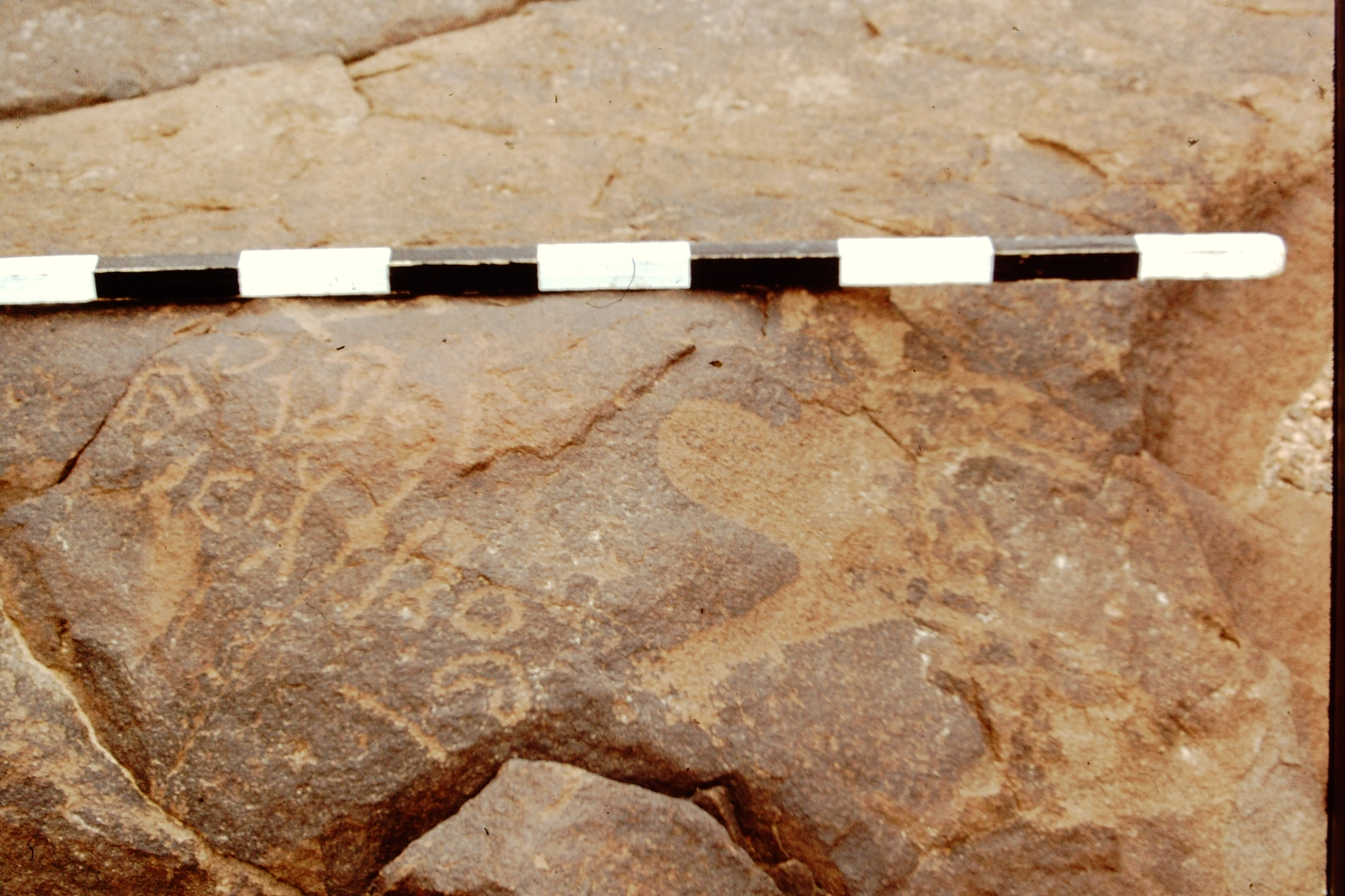inscription of siglum CEDS 447