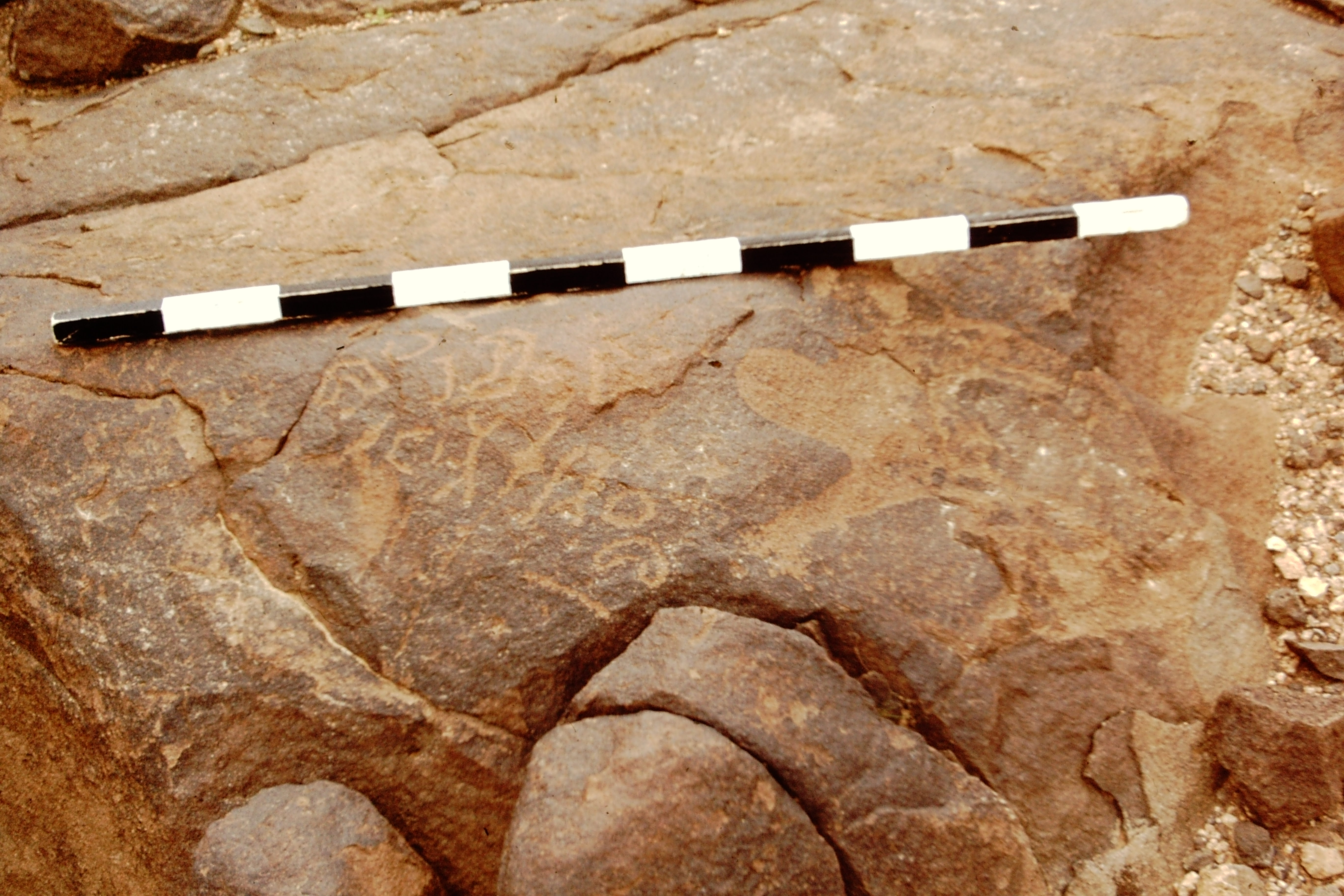 inscription of siglum CEDS 447