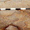 inscription of siglum CEDS 447