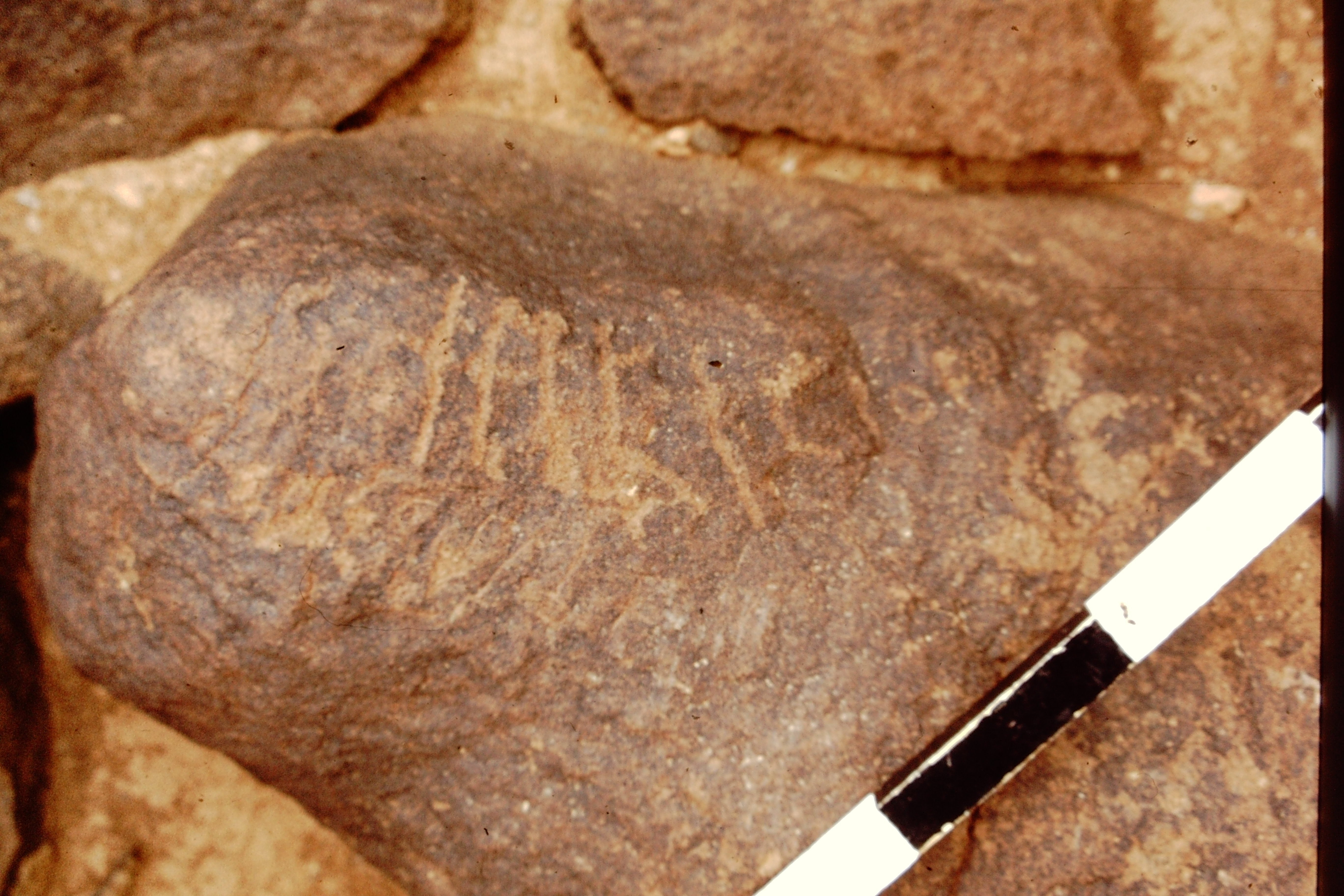 inscription of siglum CEDS 451