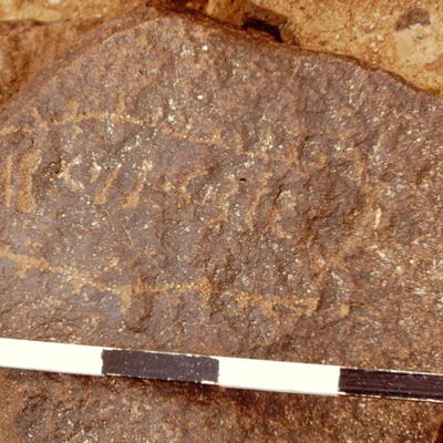 inscription of siglum CEDS 455