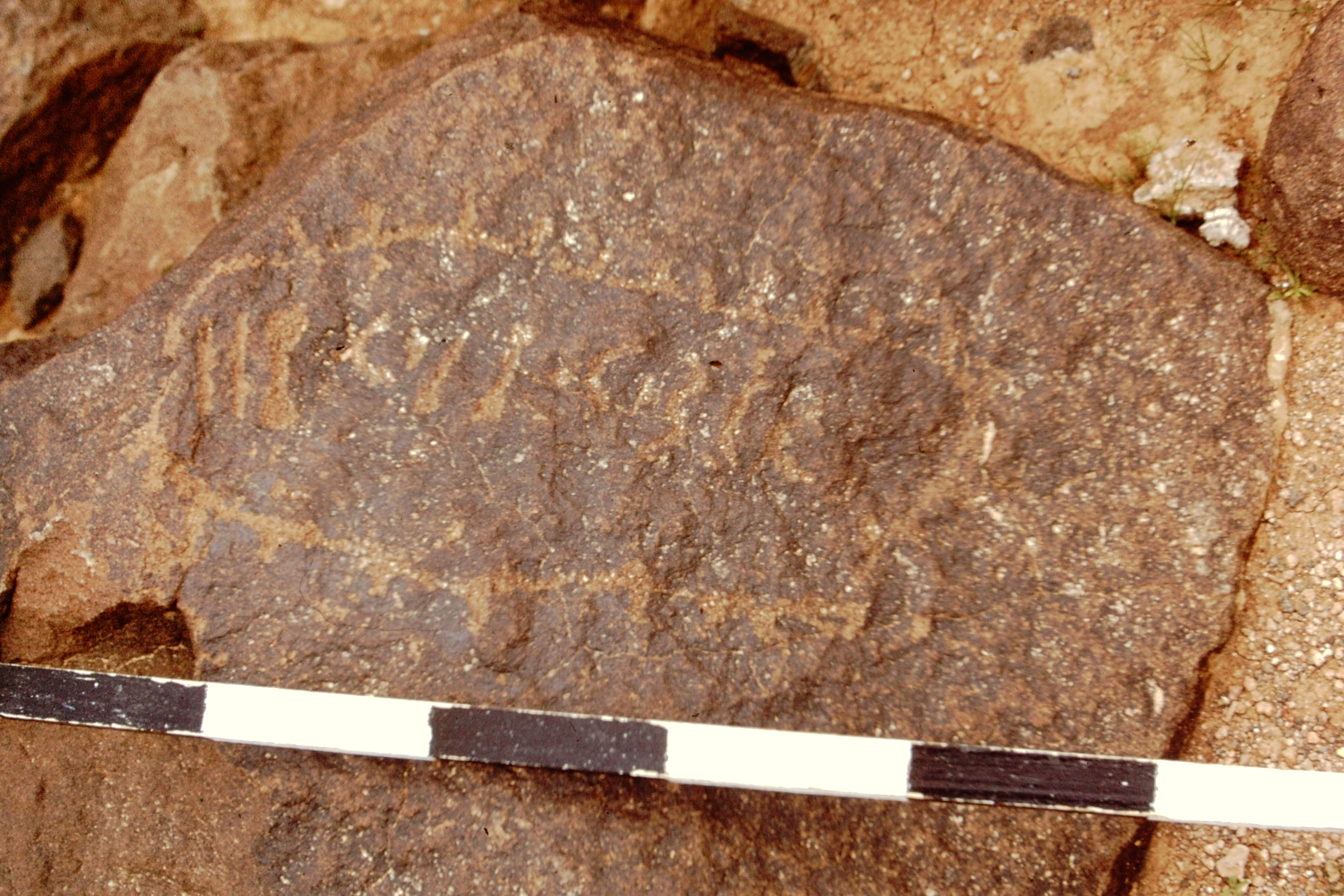 inscription of siglum CEDS 455