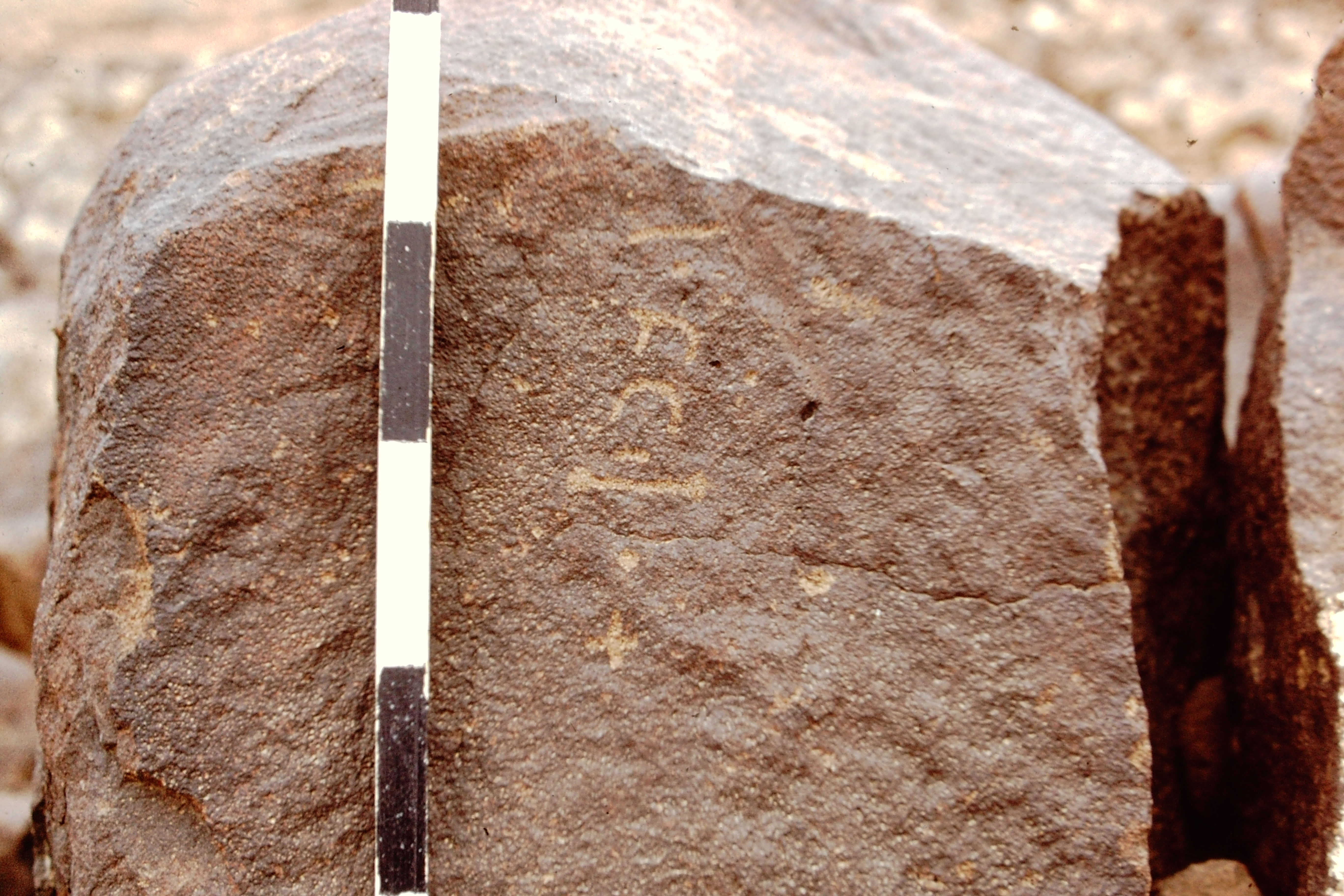 inscription of siglum CEDS 456