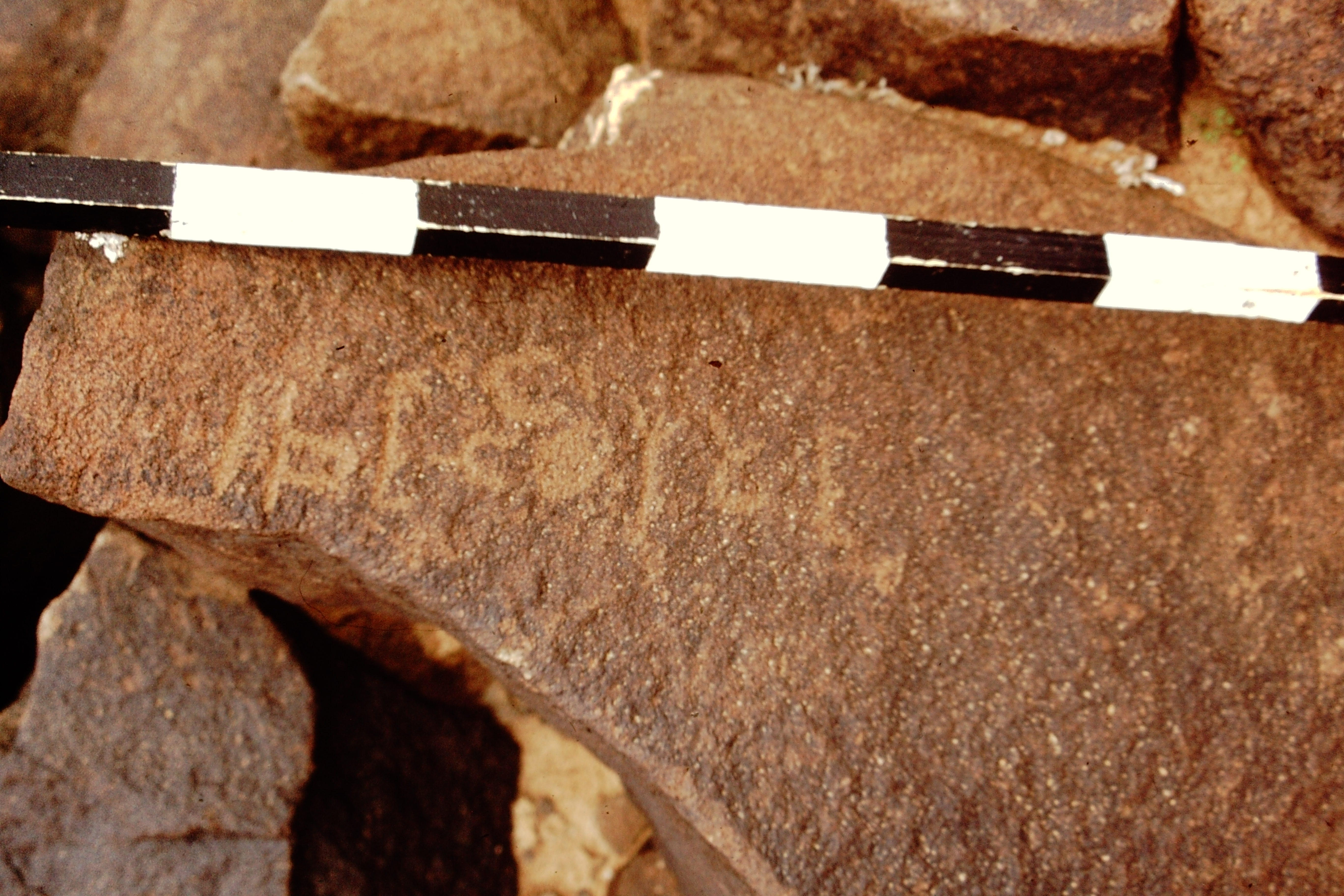 inscription of siglum CEDS 461