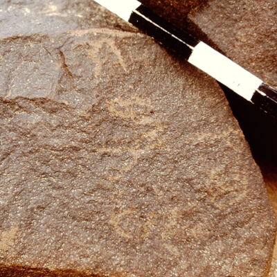 inscription of siglum CEDS 463