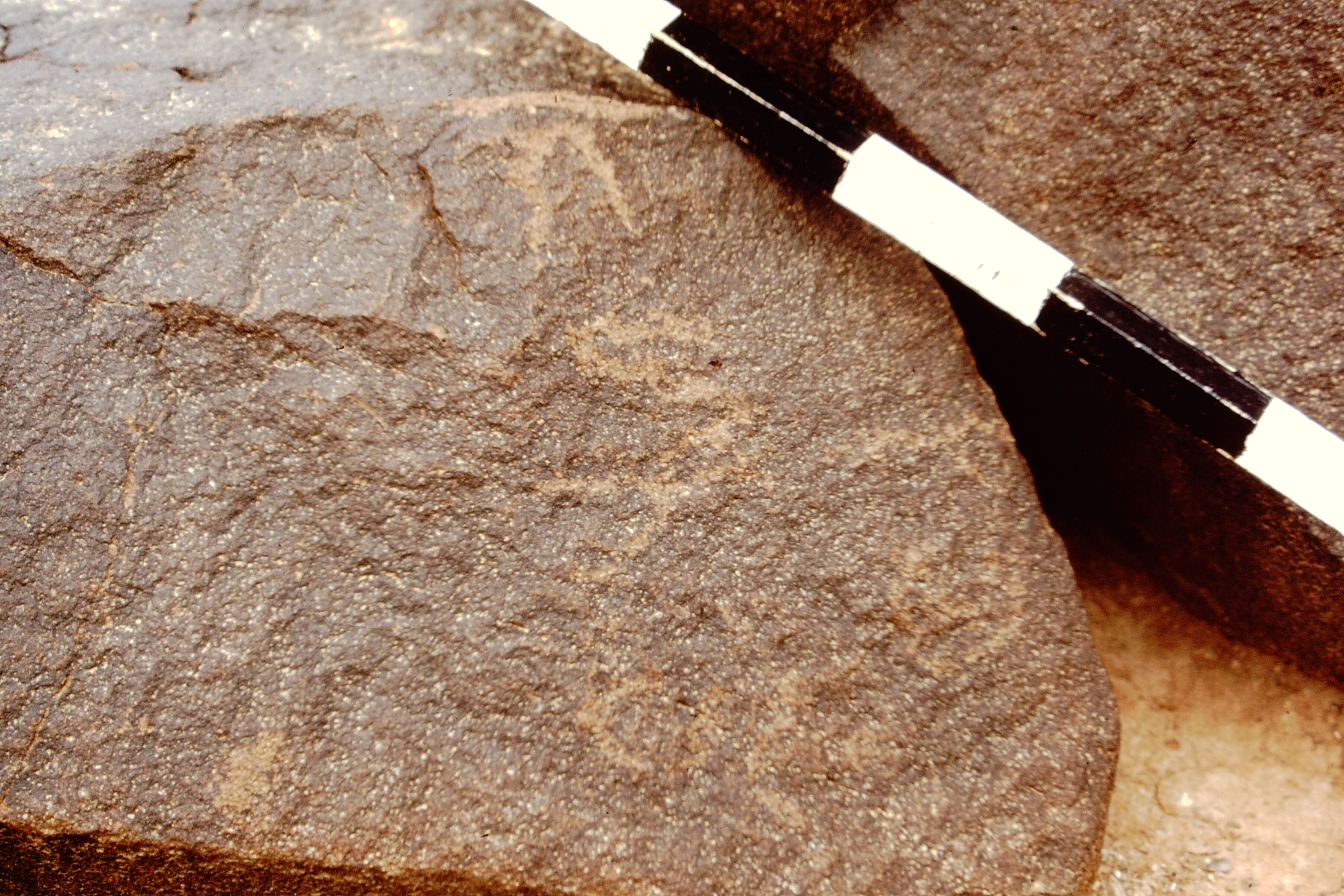 inscription of siglum CEDS 463