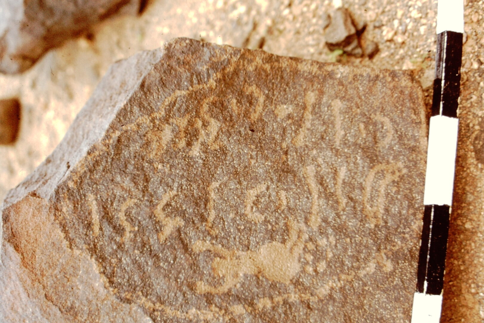 inscription of siglum CEDS 479