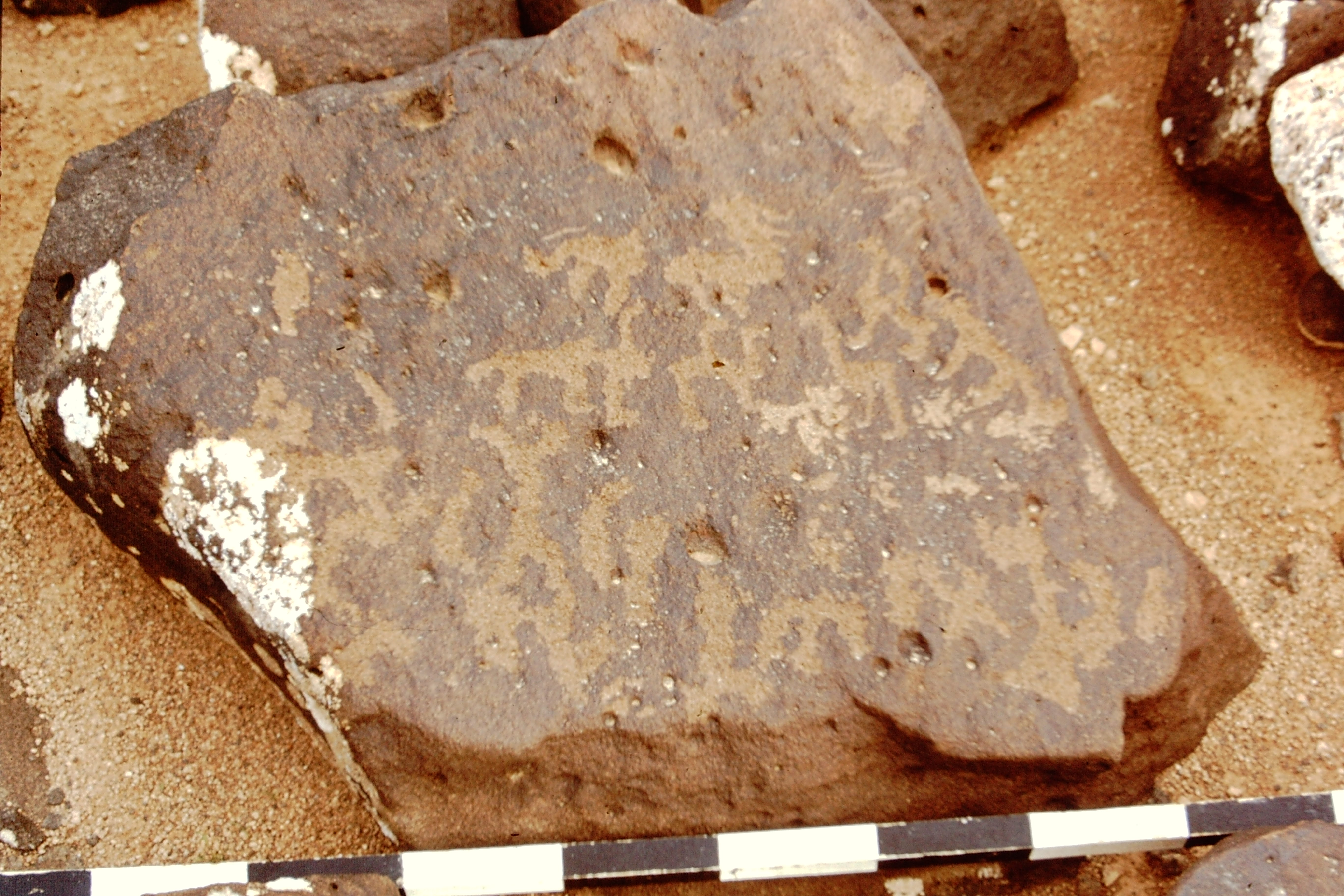 inscription of siglum CEDS 497