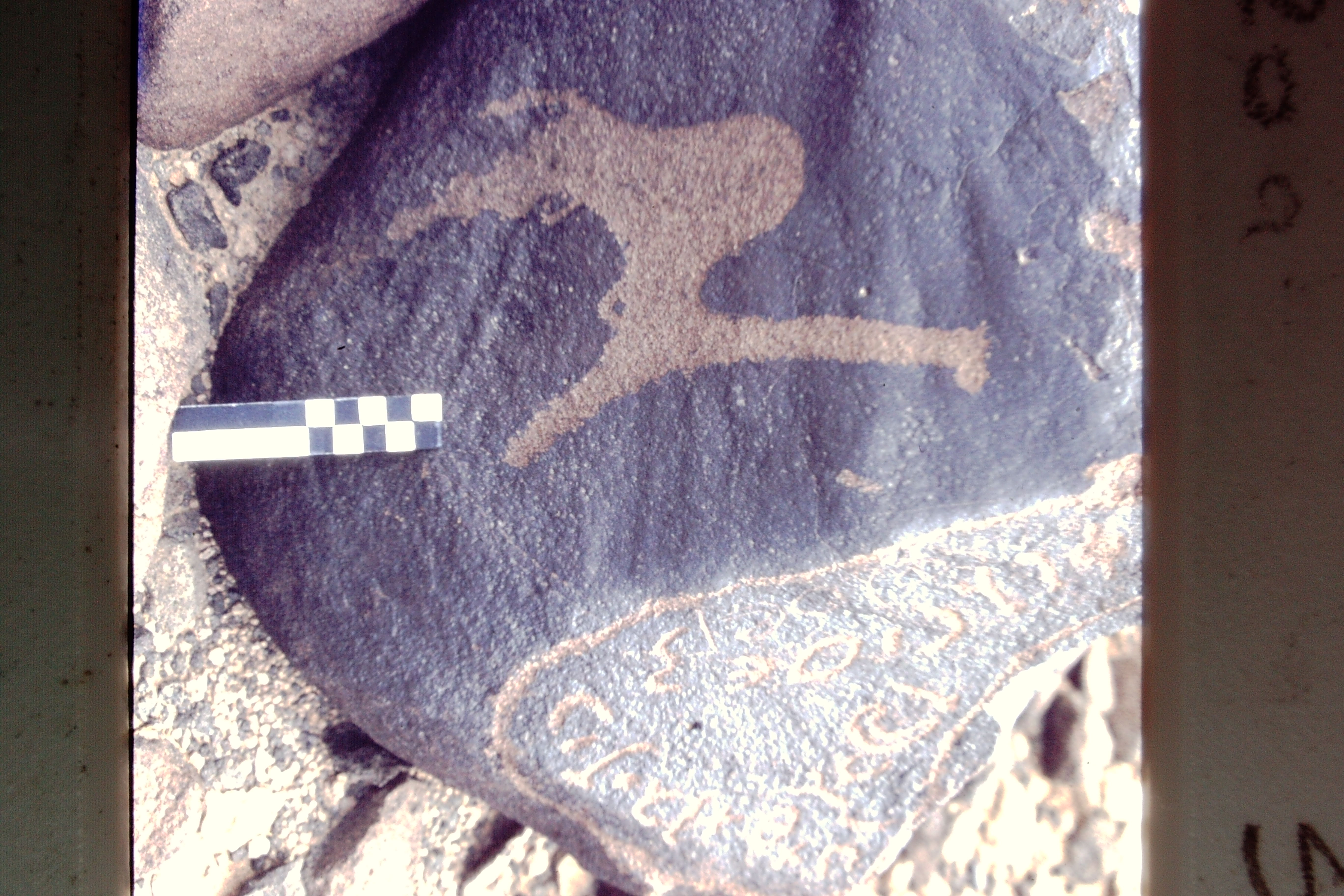 inscription of siglum CEDS 50