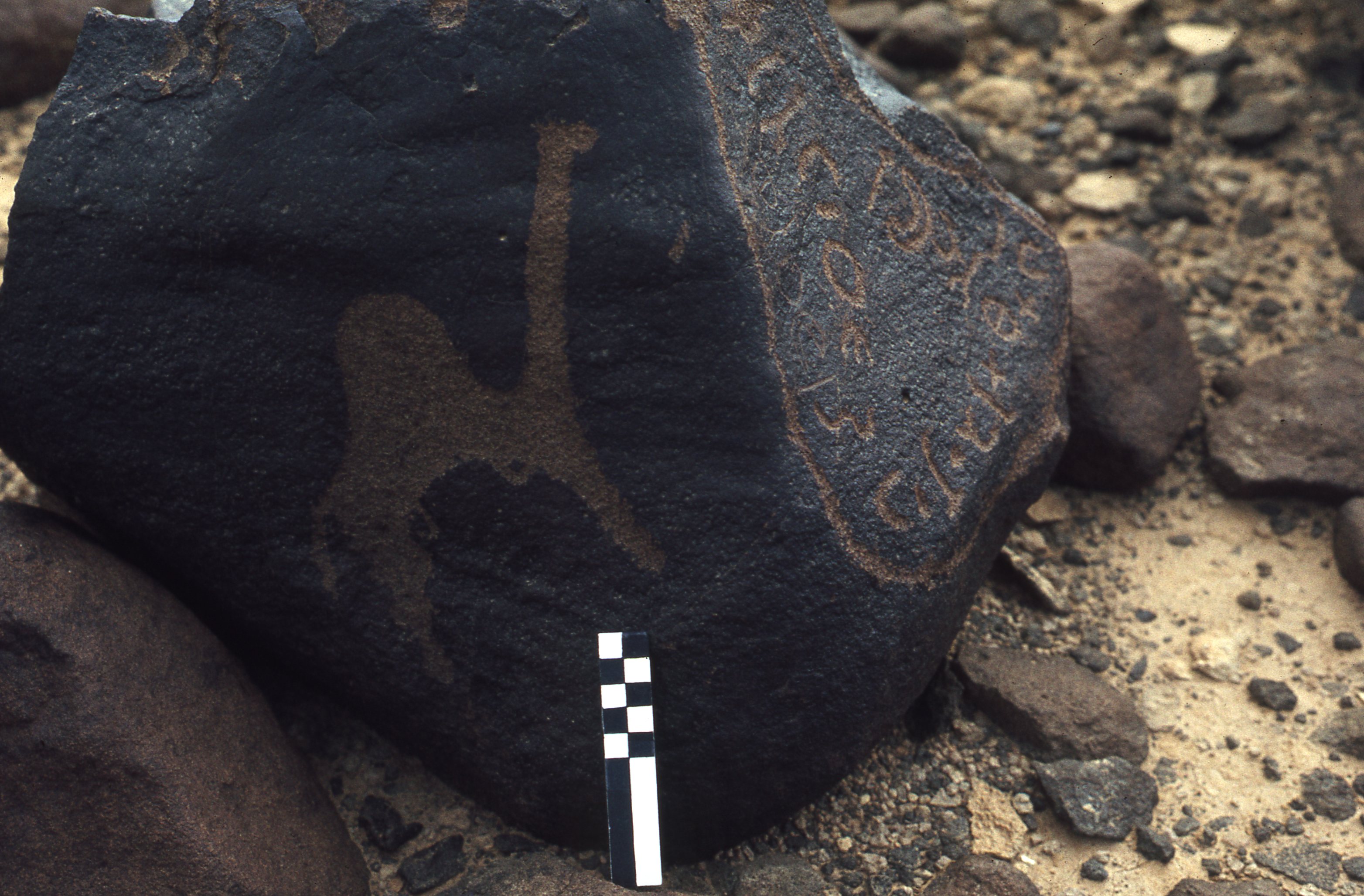 inscription of siglum CEDS 50