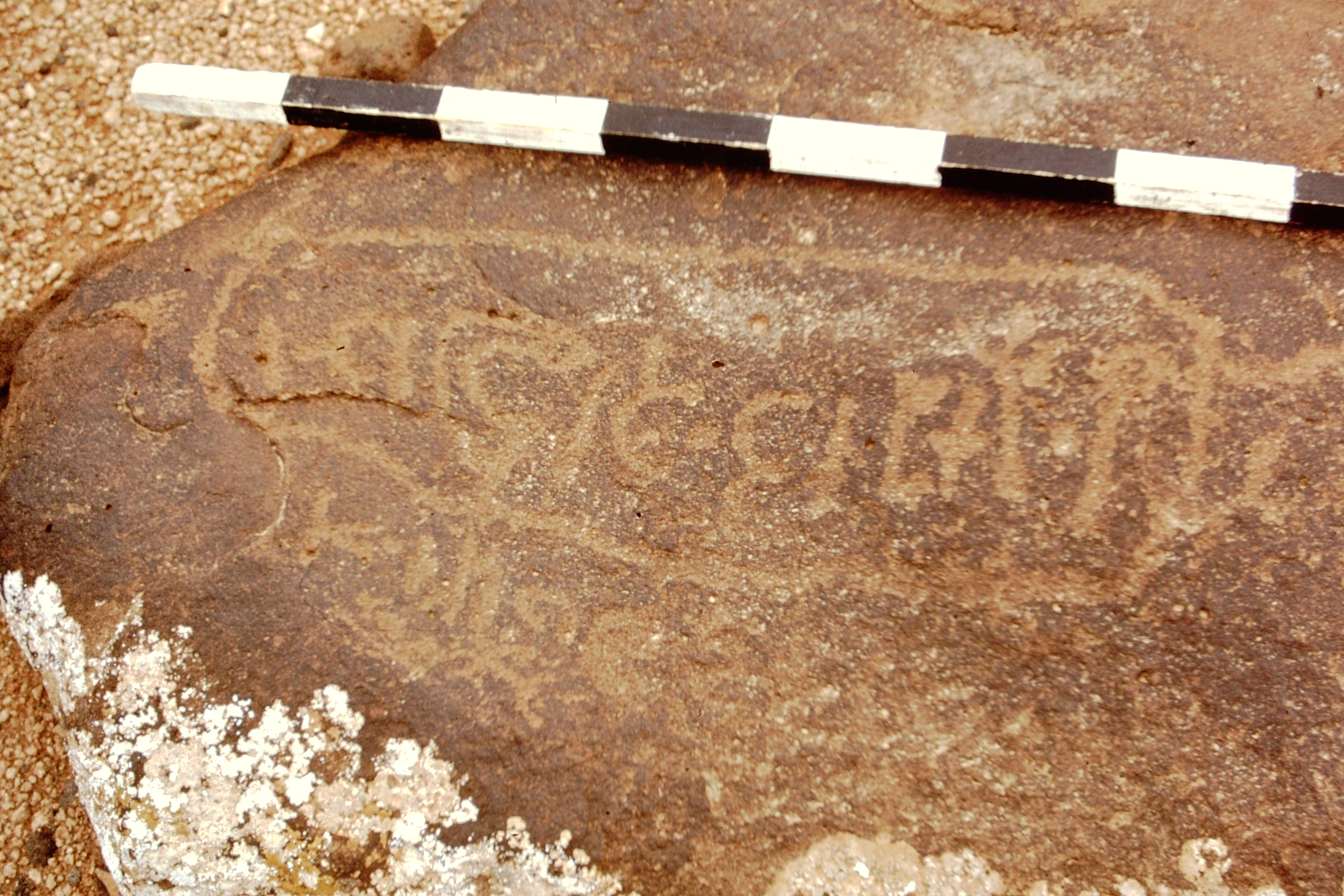 inscription of siglum CEDS 504