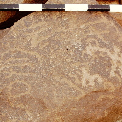 inscription of siglum CEDS 509