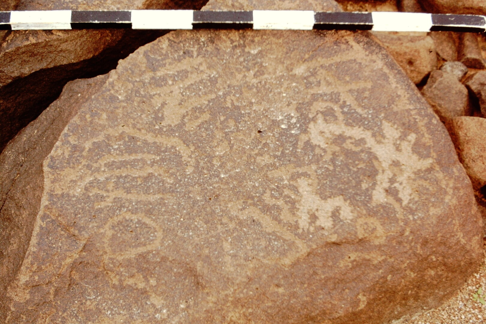 inscription of siglum CEDS 509