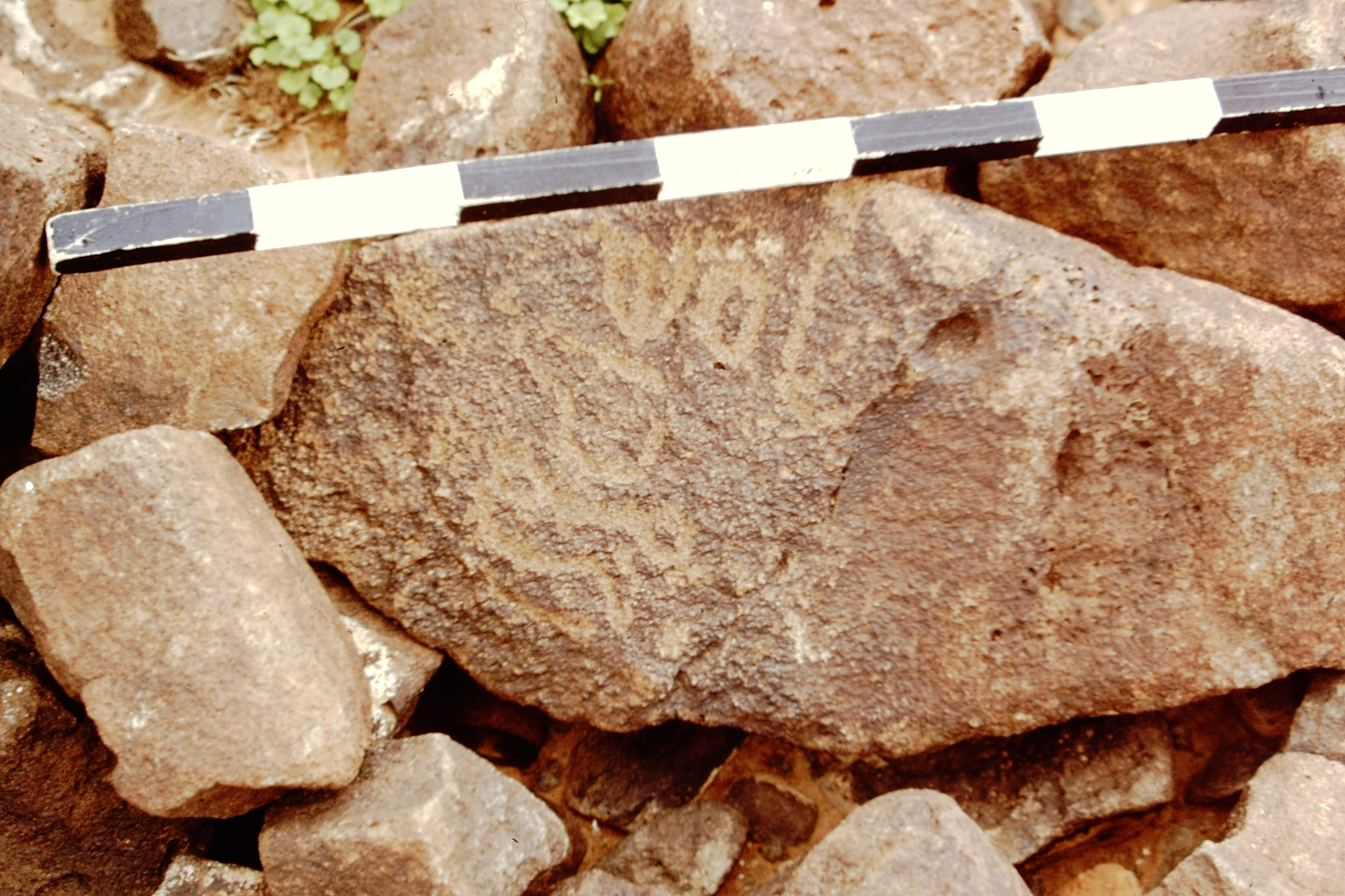 inscription of siglum CEDS 517