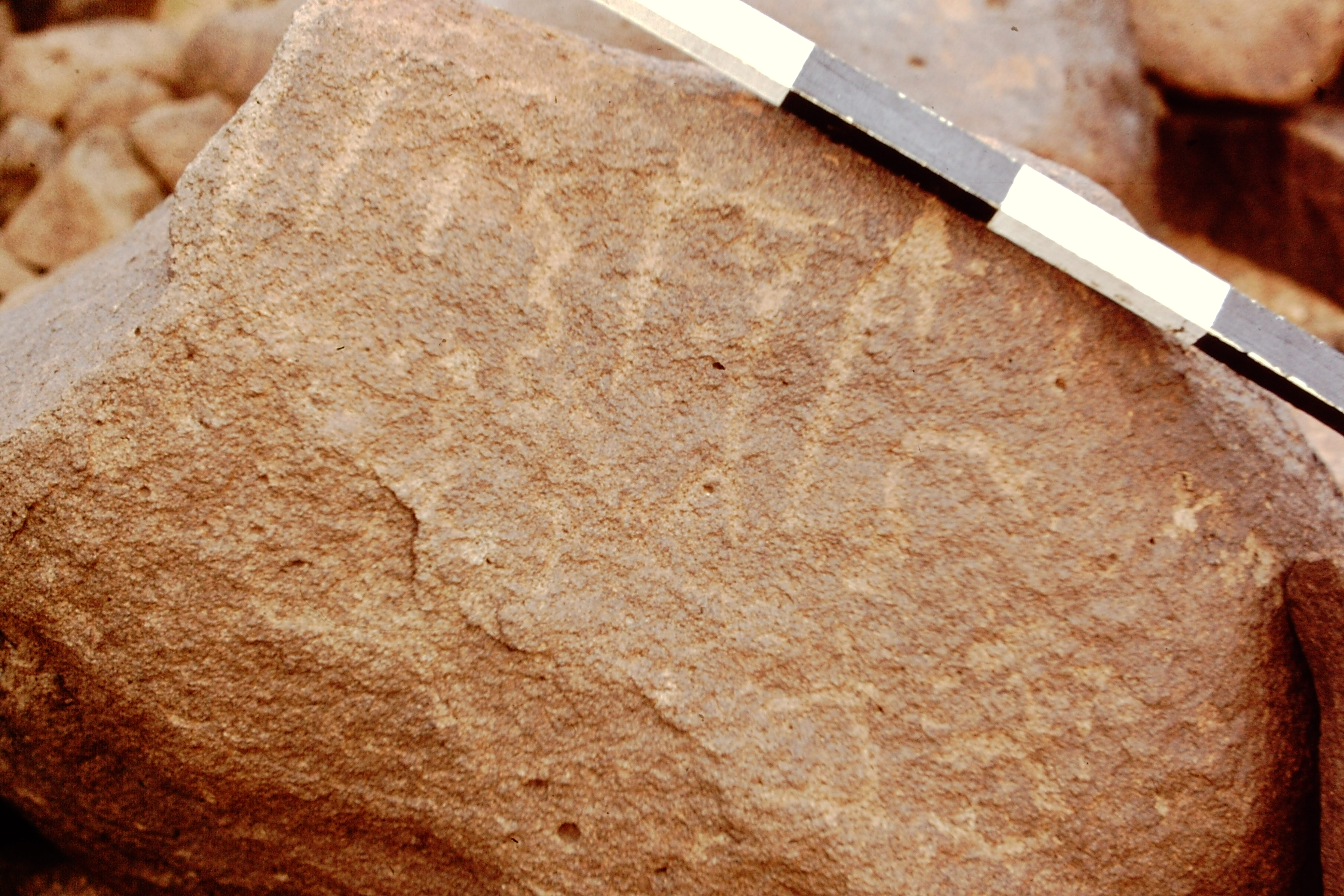 inscription of siglum CEDS 518