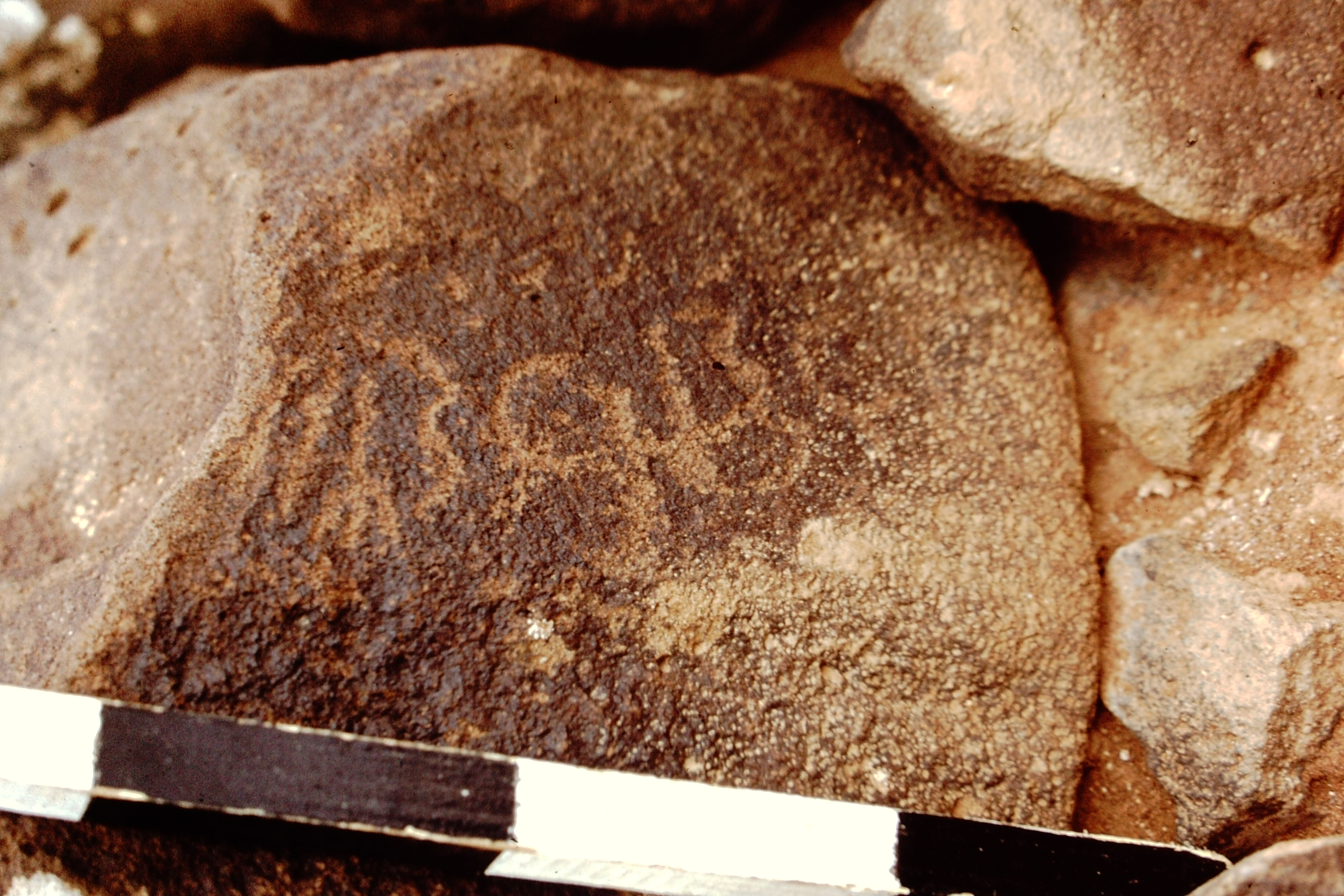 inscription of siglum CEDS 525