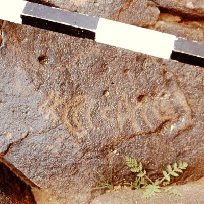 inscription of siglum CEDS 533