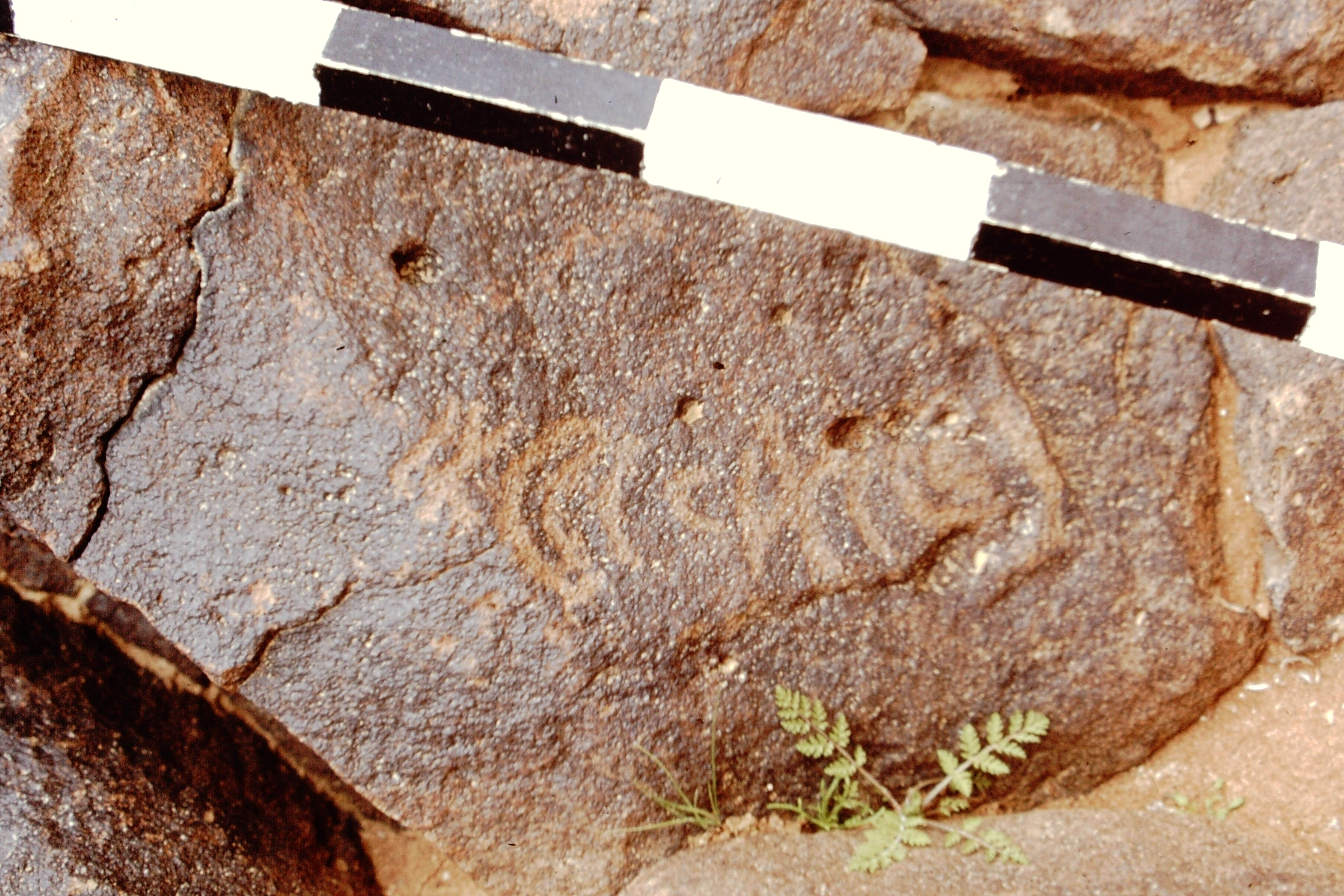 inscription of siglum CEDS 533