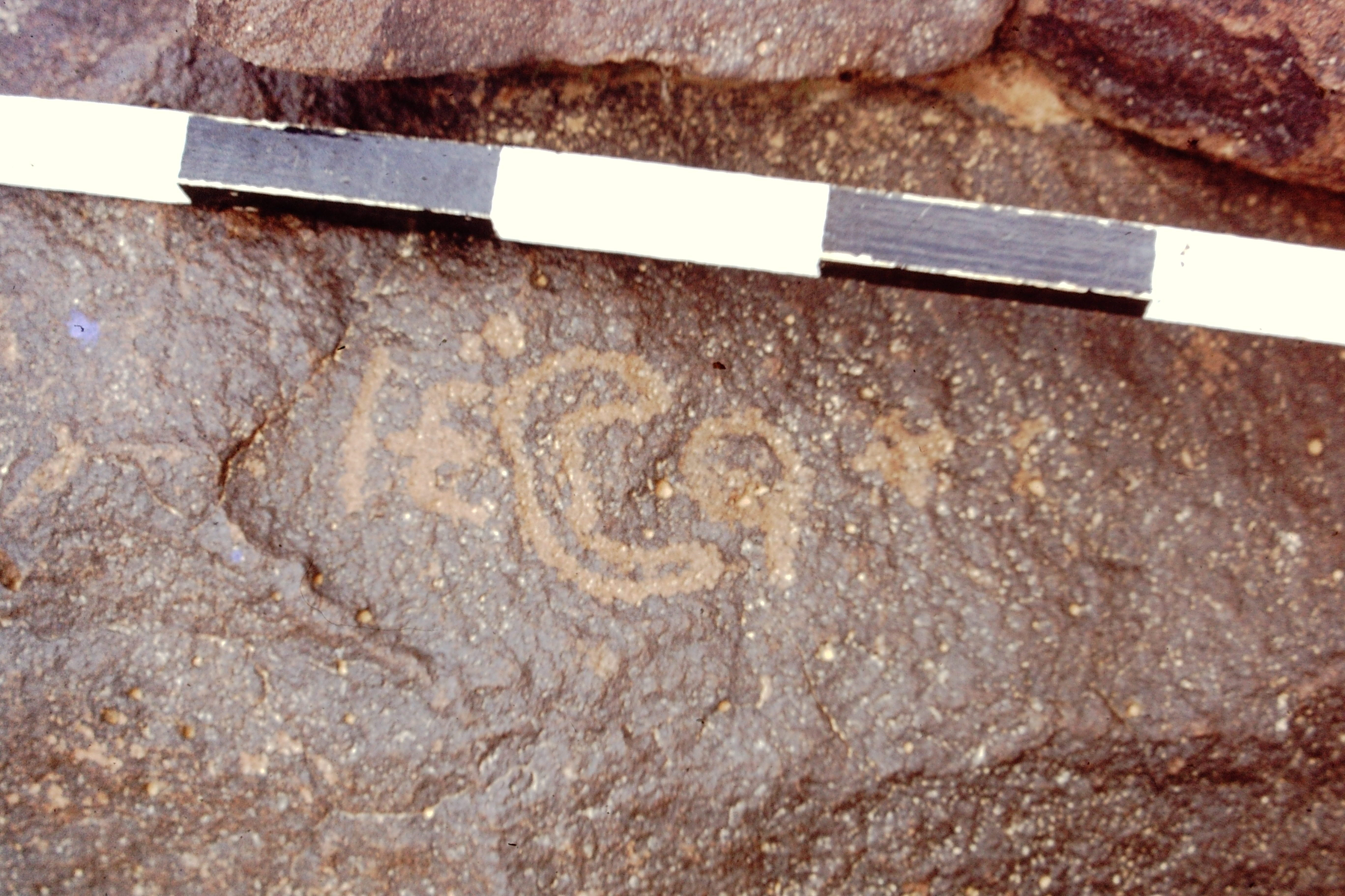 inscription of siglum CEDS 536