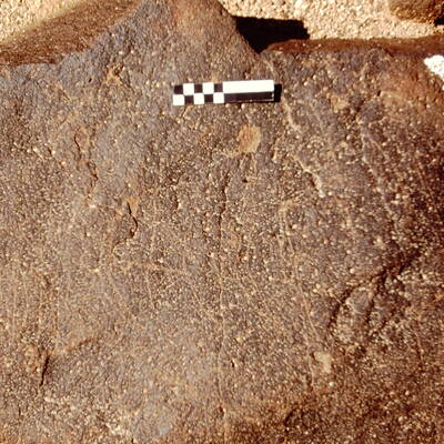 inscription of siglum CEDS 542