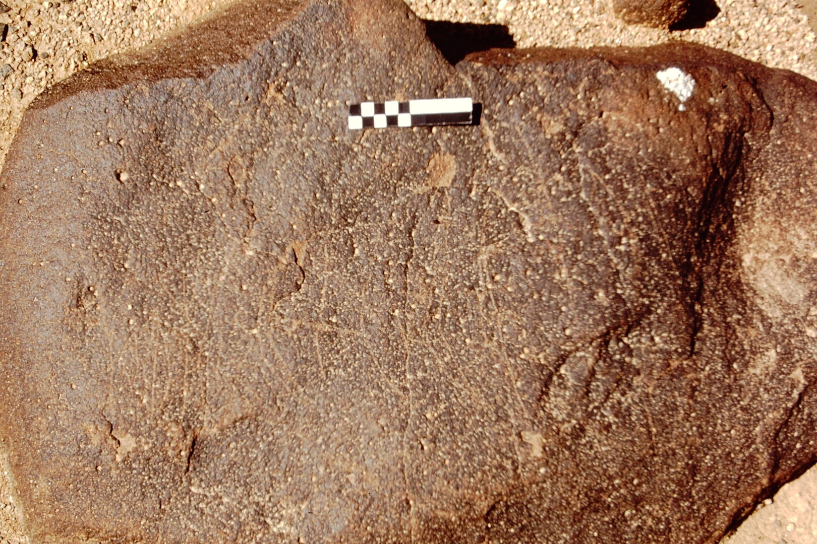 inscription of siglum CEDS 542