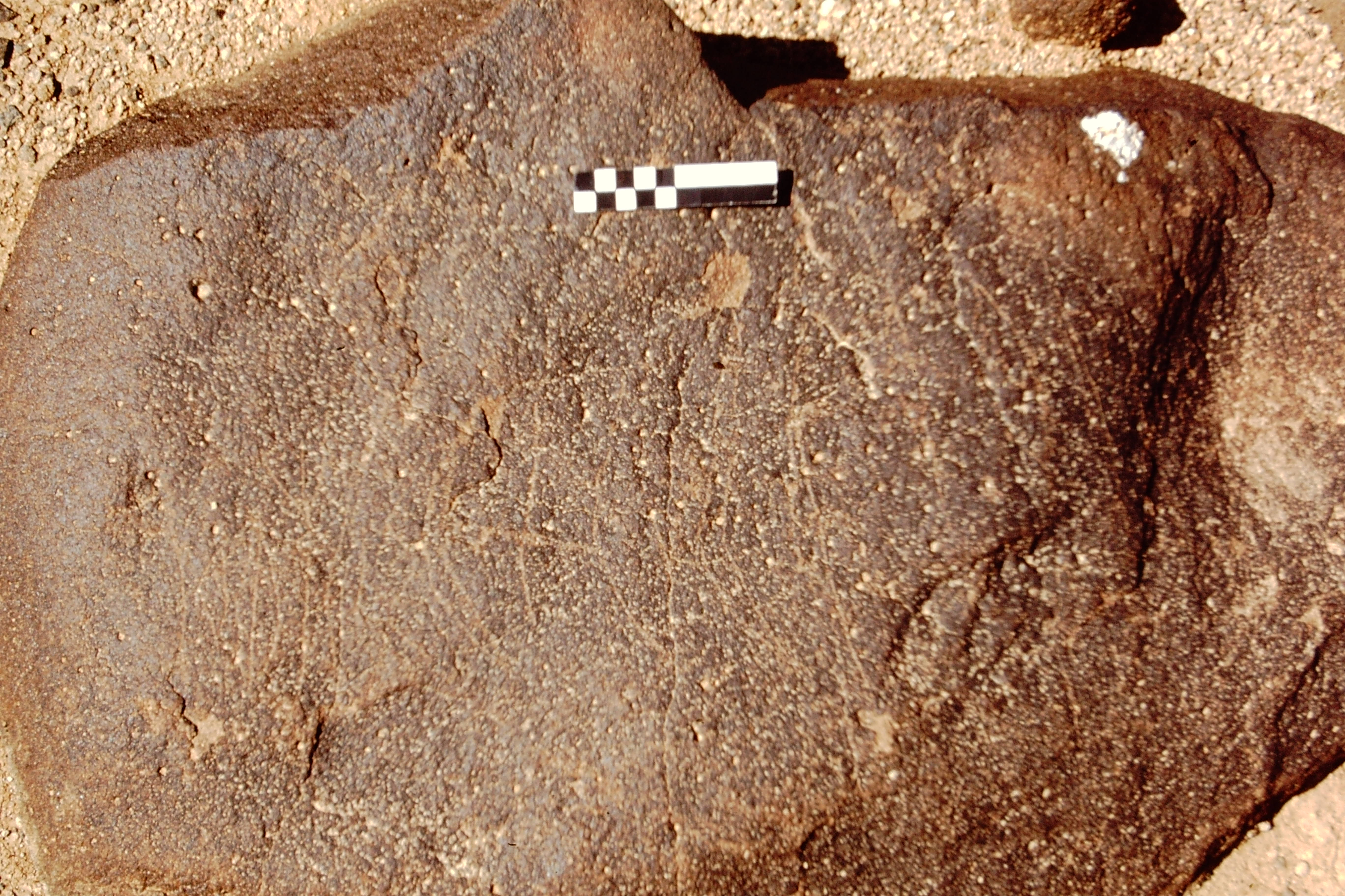 inscription of siglum CEDS 542
