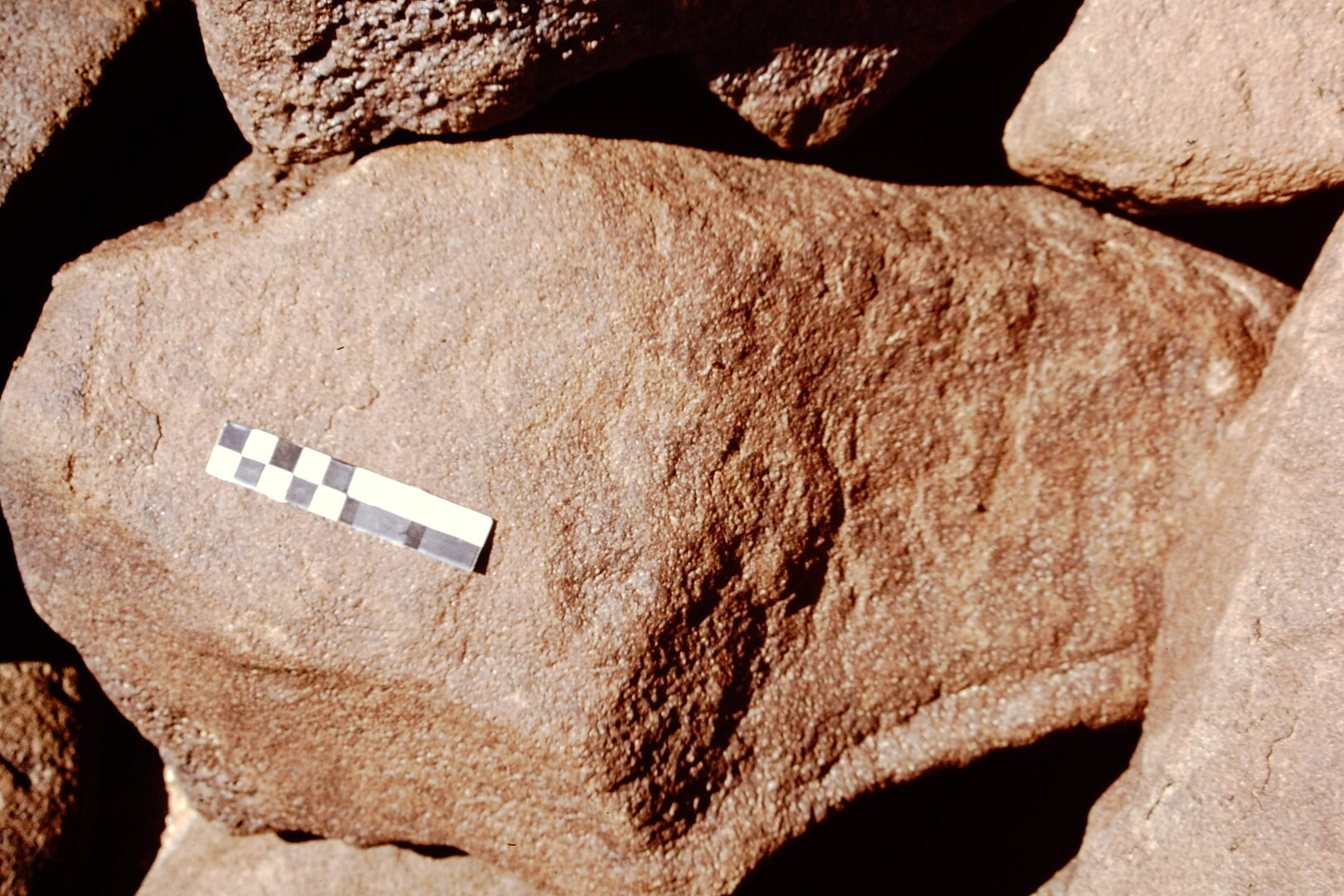 inscription of siglum CEDS 544