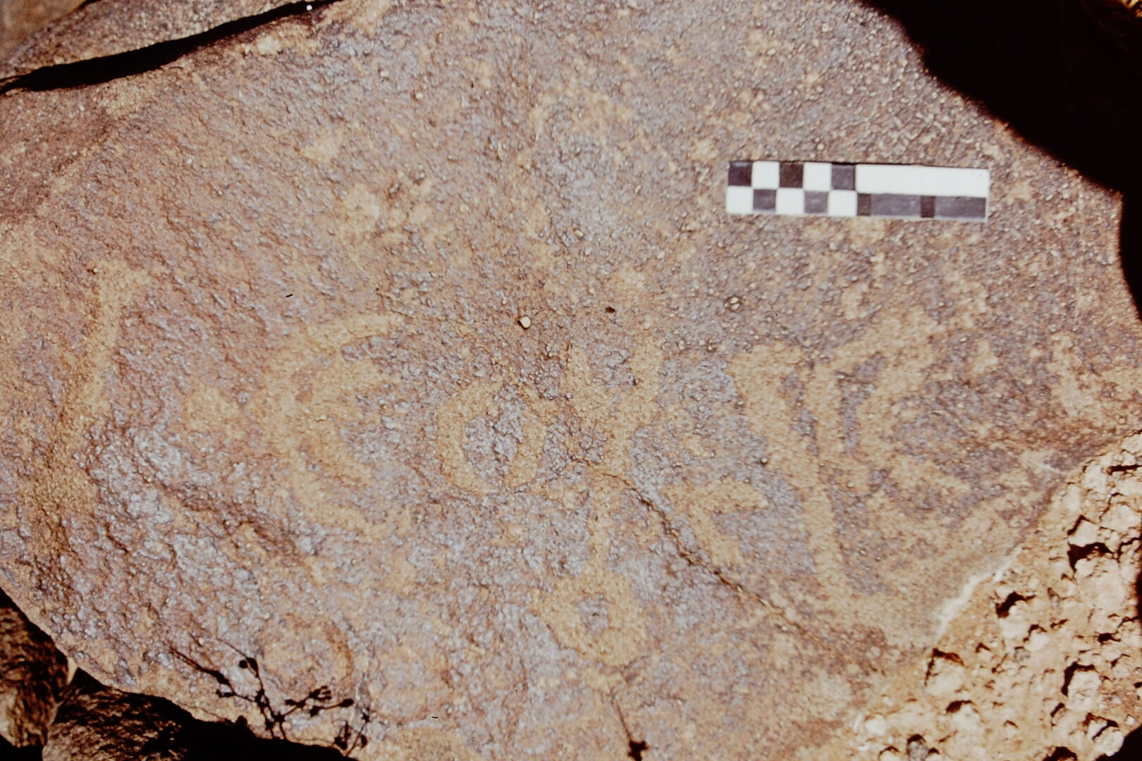 inscription of siglum CEDS 550