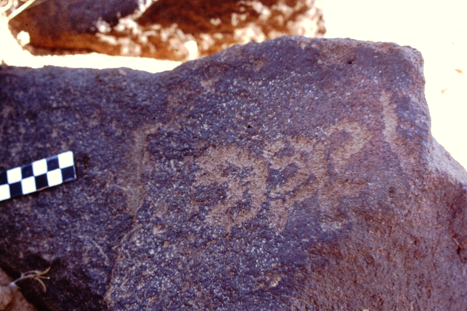 inscription of siglum CEDS 552