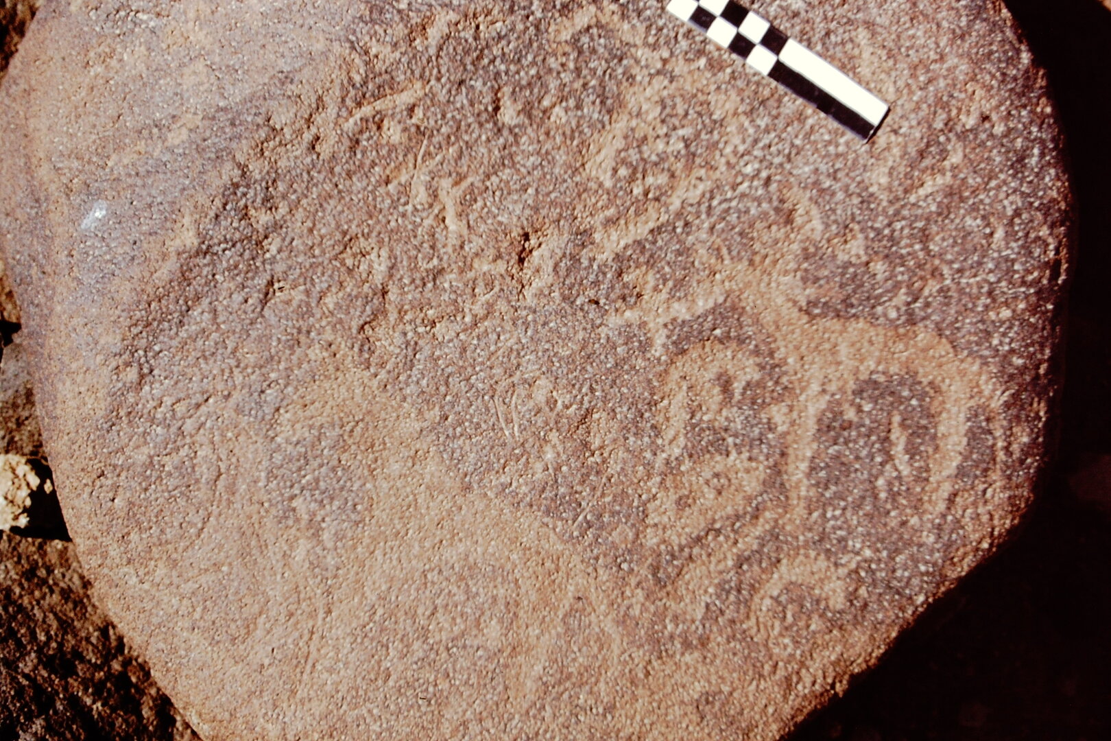 inscription of siglum CEDS 553