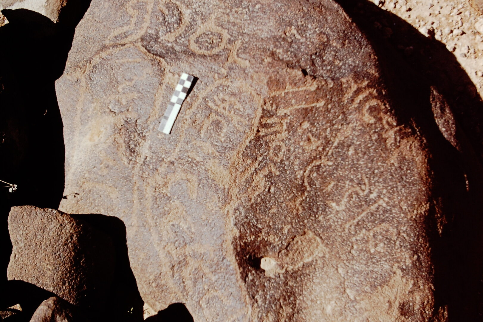 inscription of siglum CEDS 557