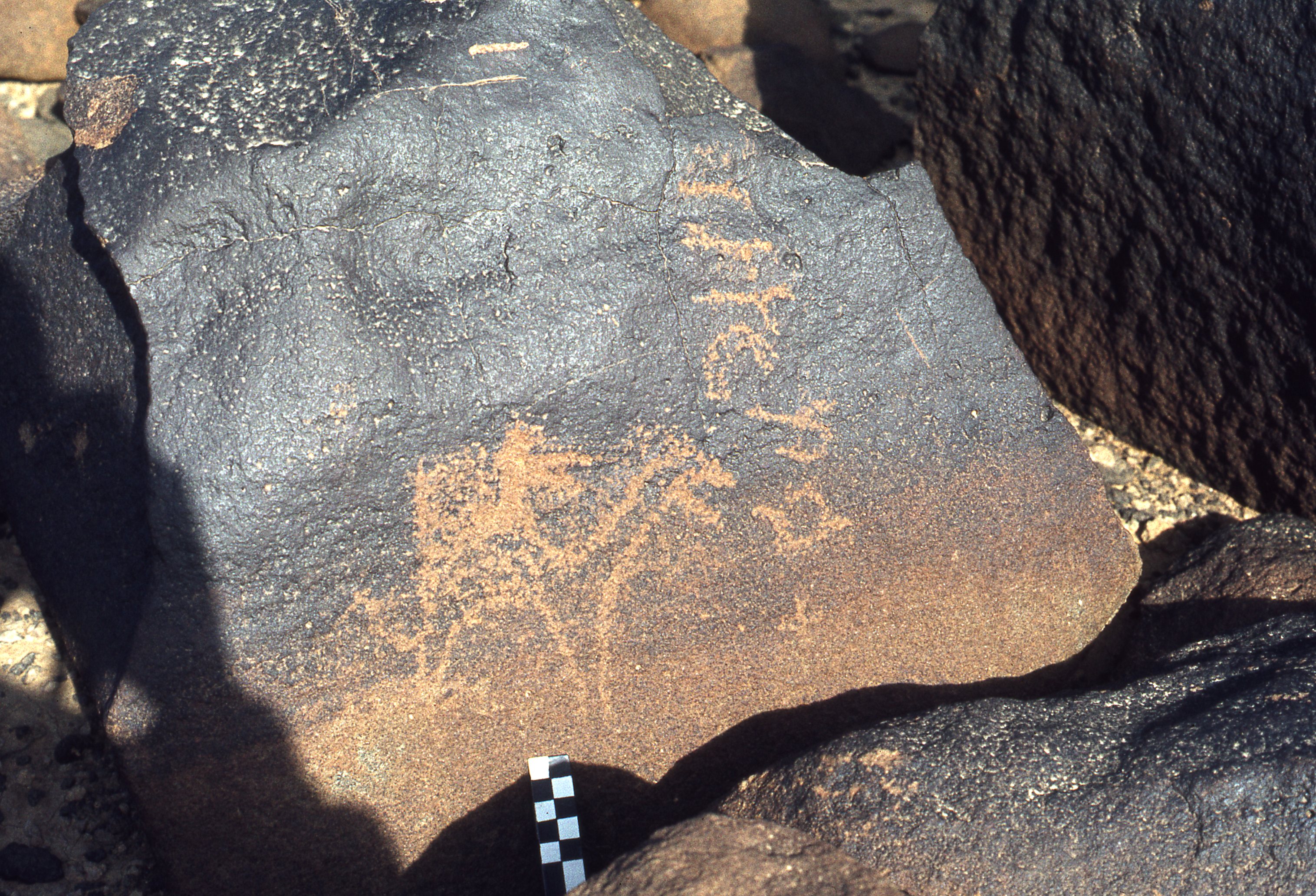 inscription of siglum CEDS 56