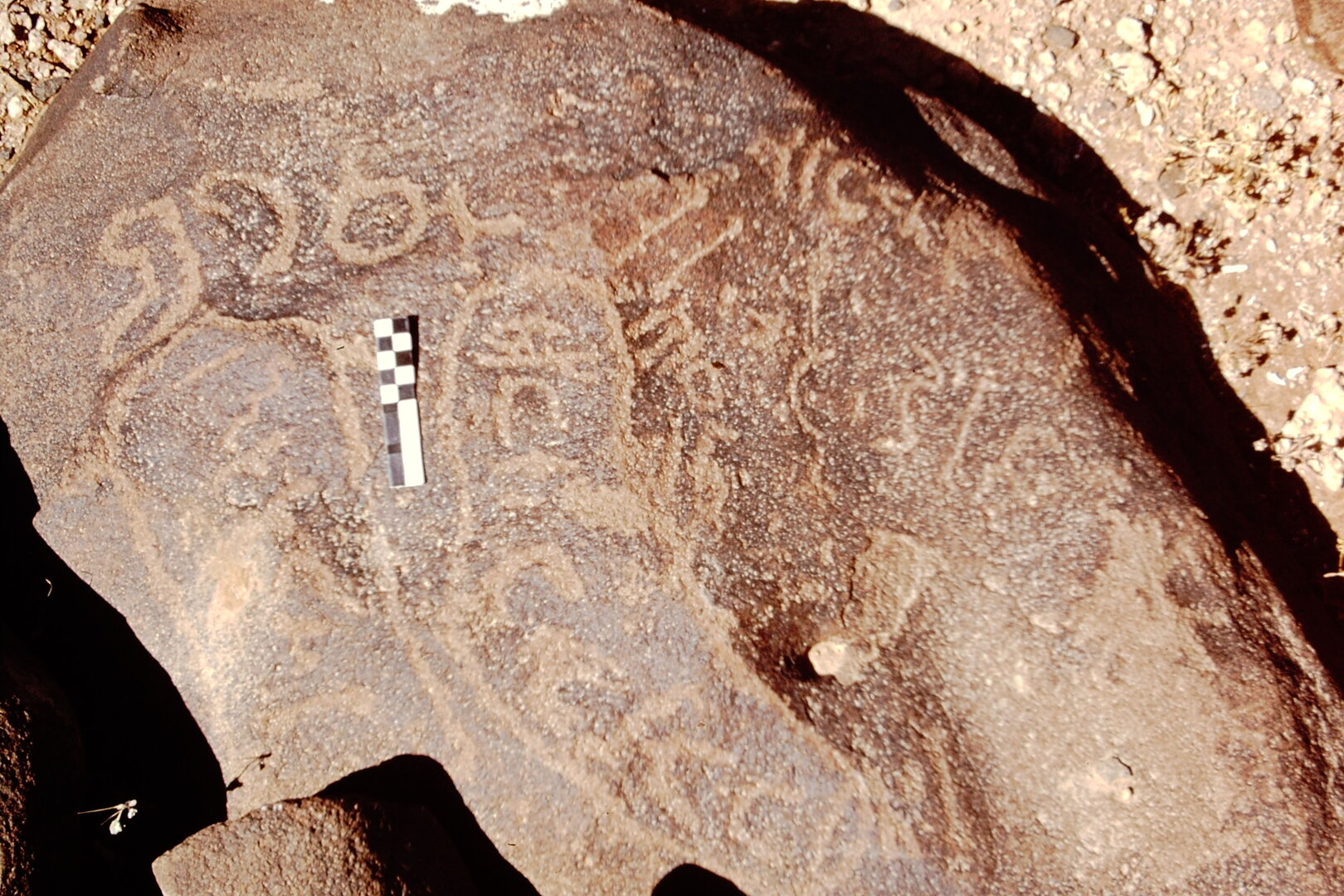 inscription of siglum CEDS 560