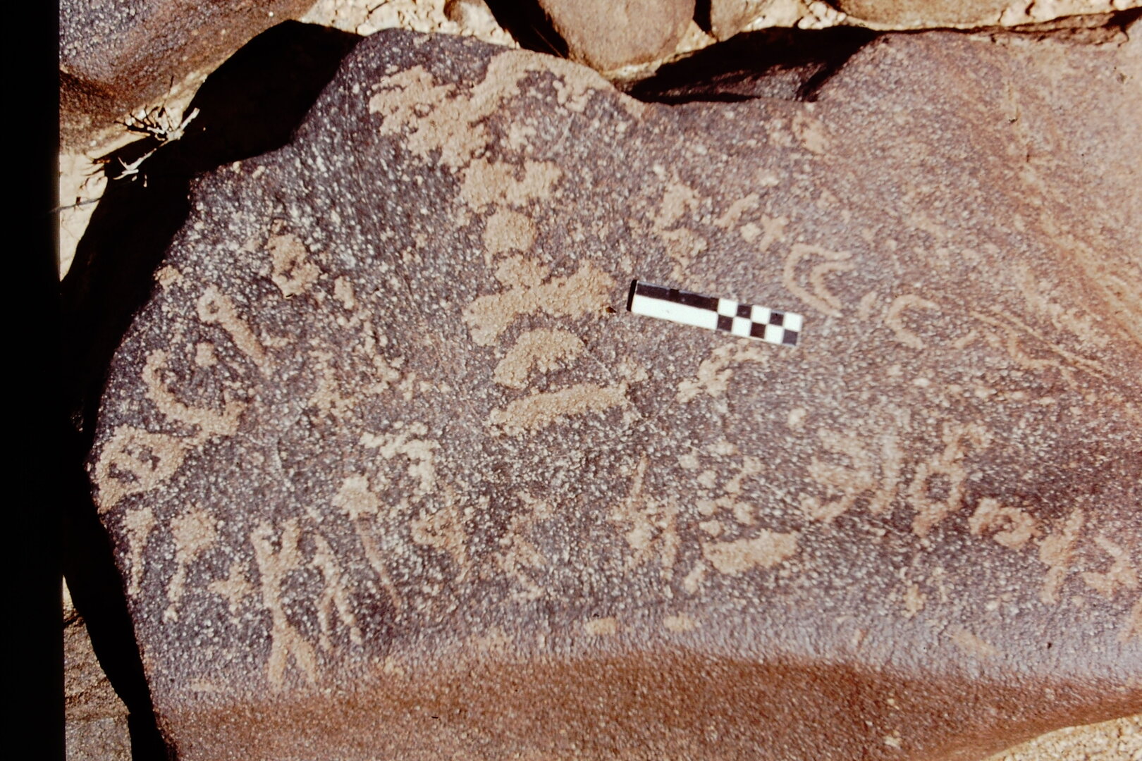 inscription of siglum CEDS 562