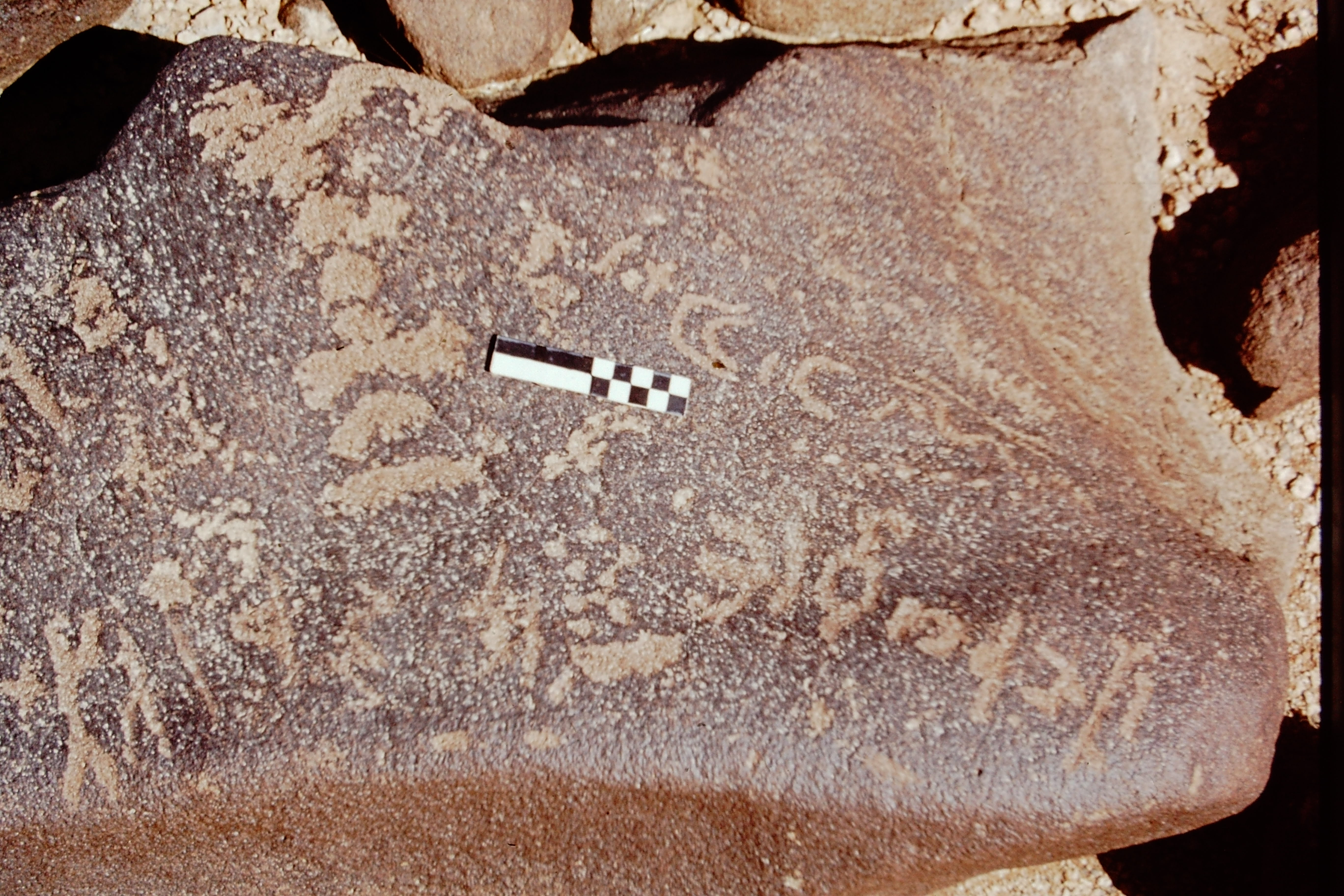 inscription of siglum CEDS 563