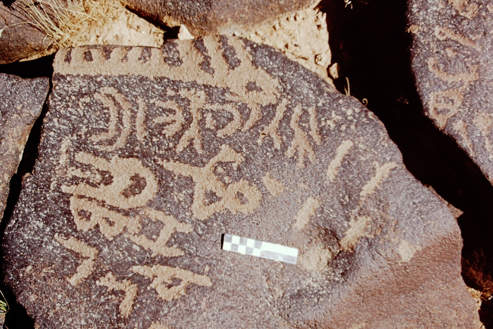 inscription of siglum CEDS 564