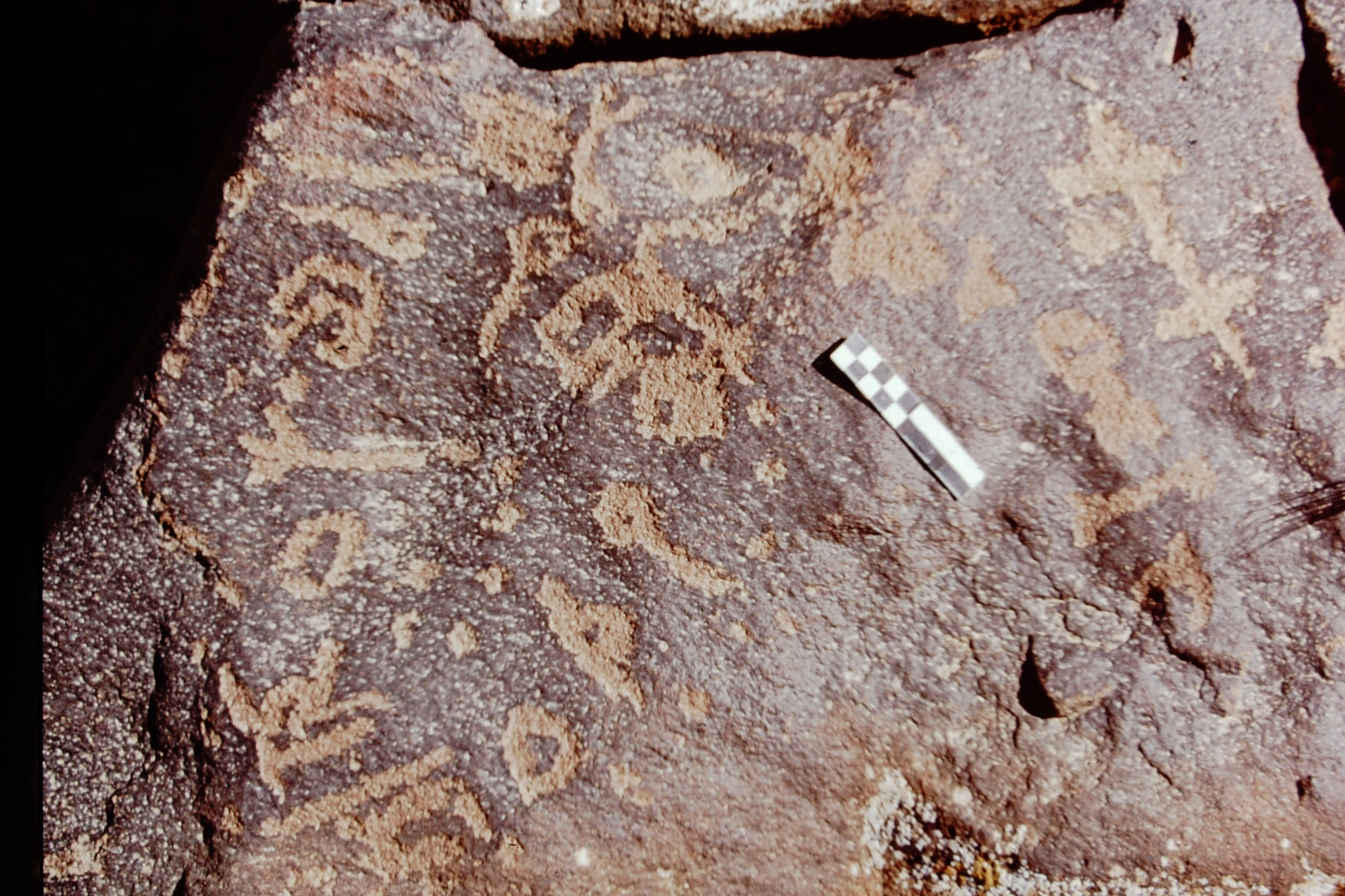 inscription of siglum CEDS 565