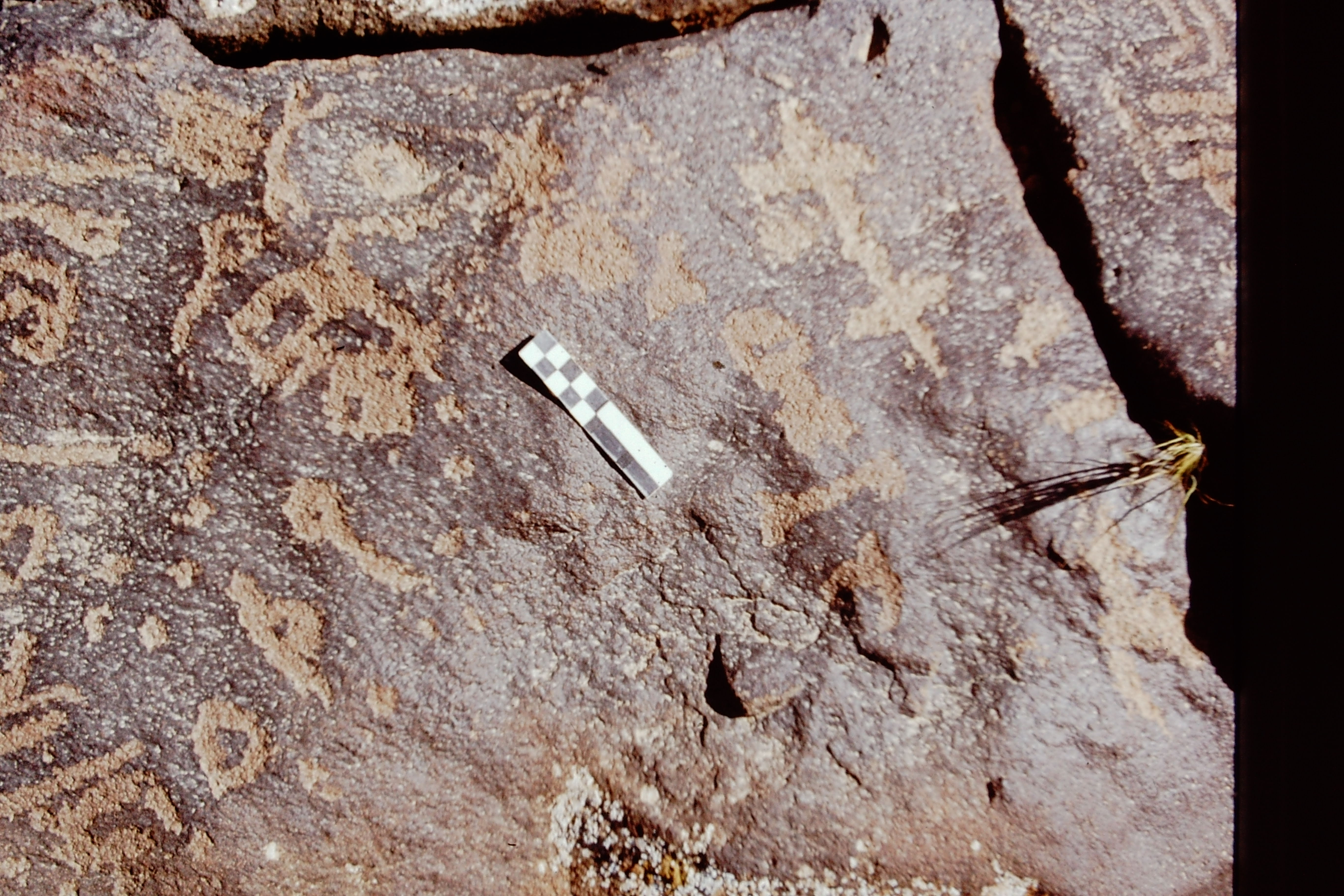 inscription of siglum CEDS 565