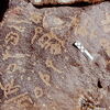 inscription of siglum CEDS 565