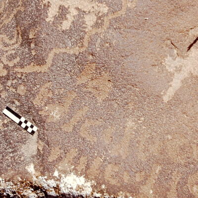 inscription of siglum CEDS 567