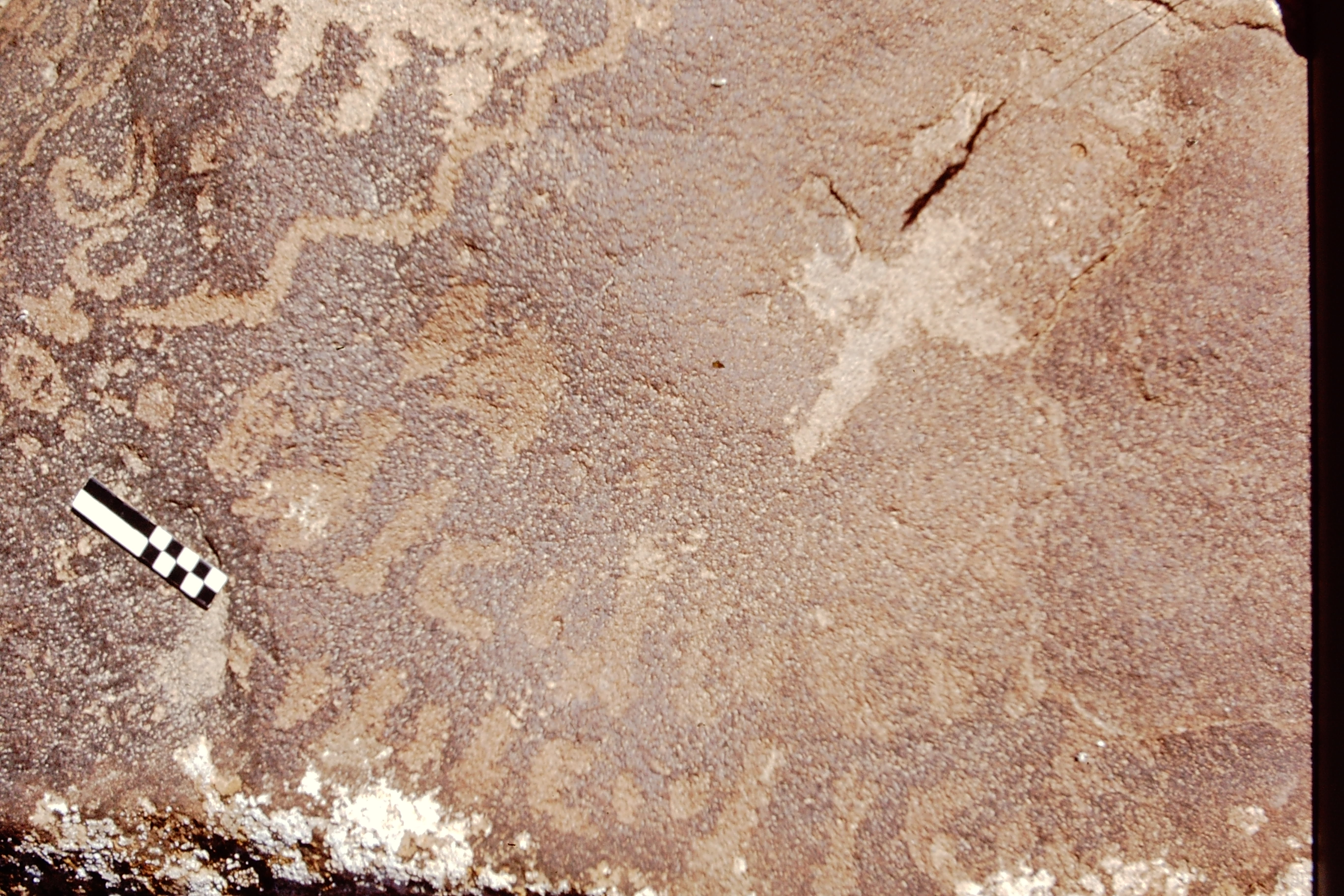 inscription of siglum CEDS 568